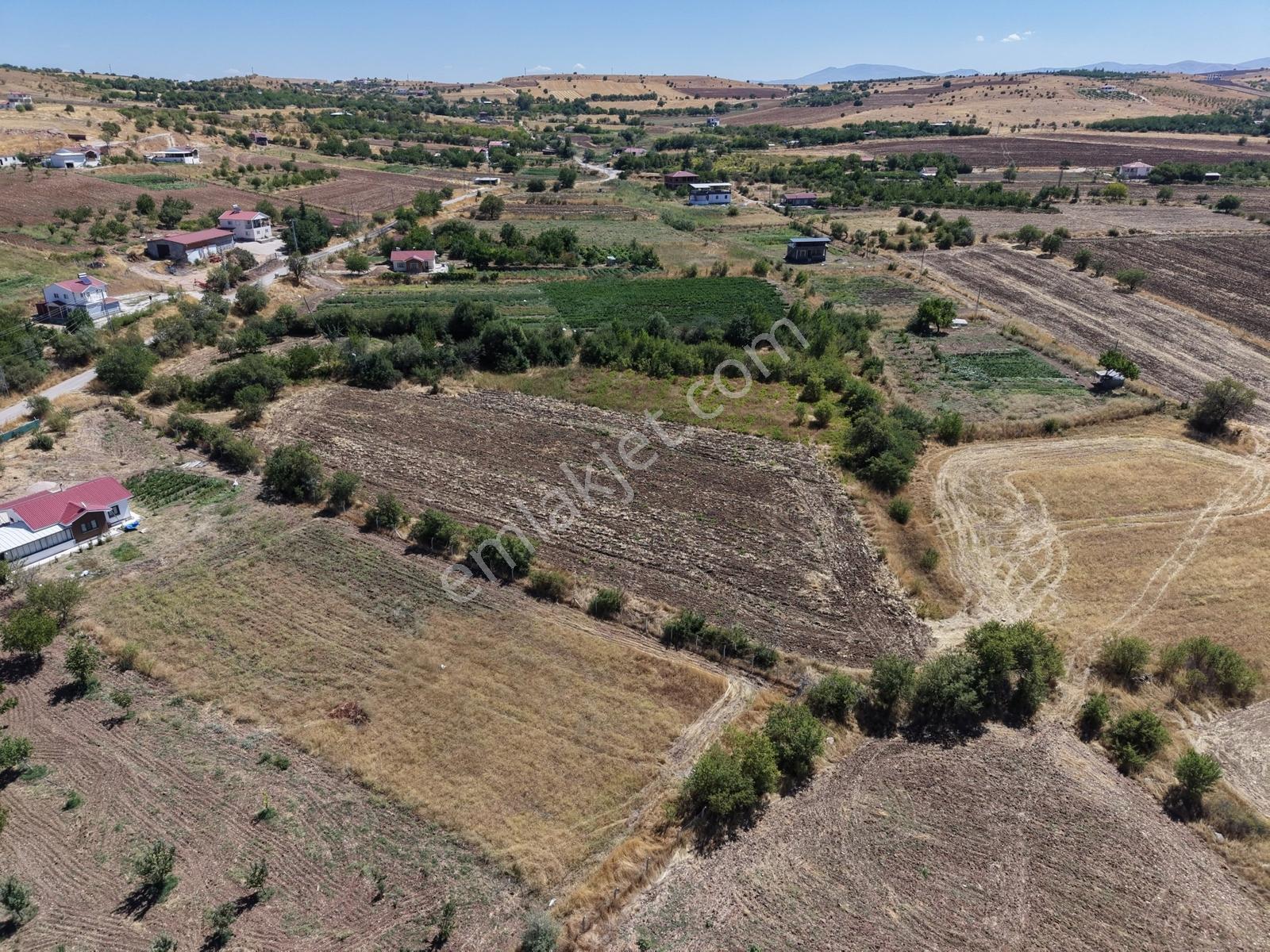 Aşağı Holpenk (demirtaş) Mevkiinde Yolu Asfalt Yatırım Fırsatı — fotoğraf 14