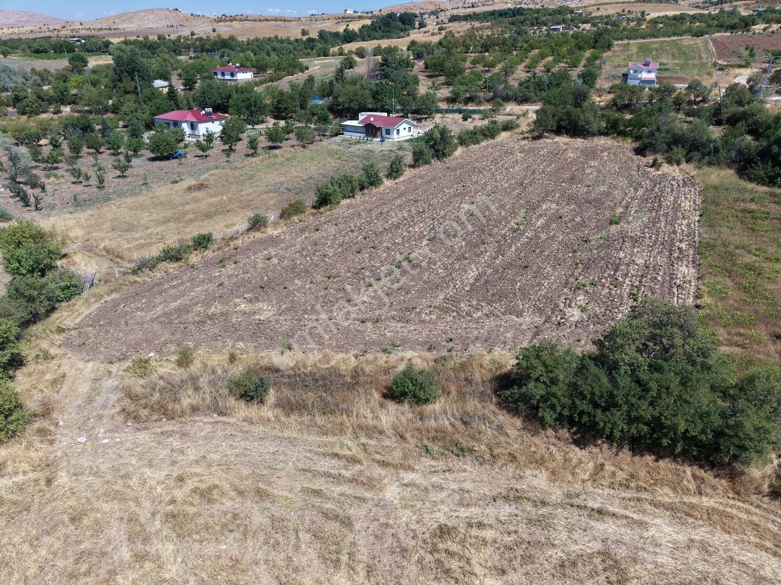 Aşağı Holpenk (demirtaş) Mevkiinde Yolu Asfalt Yatırım Fırsatı — fotoğraf 15