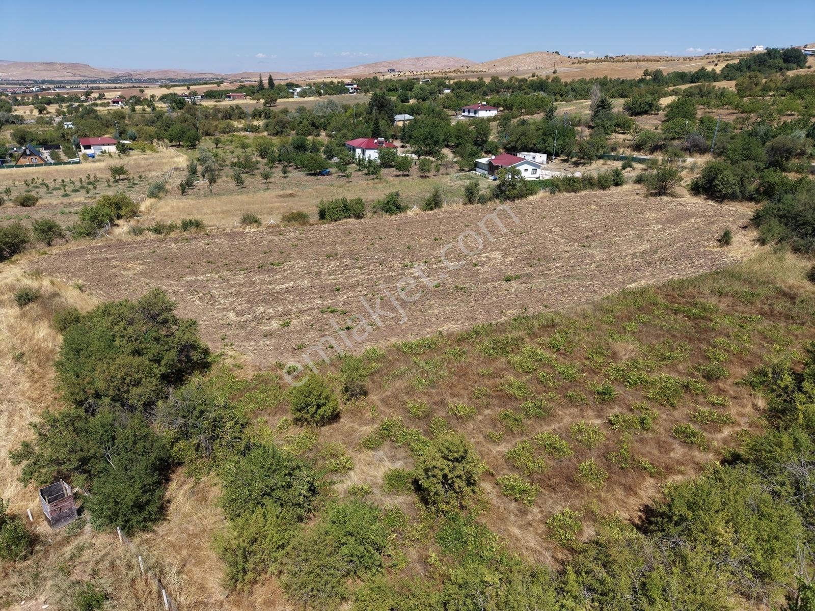 Aşağı Holpenk (demirtaş) Mevkiinde Yolu Asfalt Yatırım Fırsatı — fotoğraf 16
