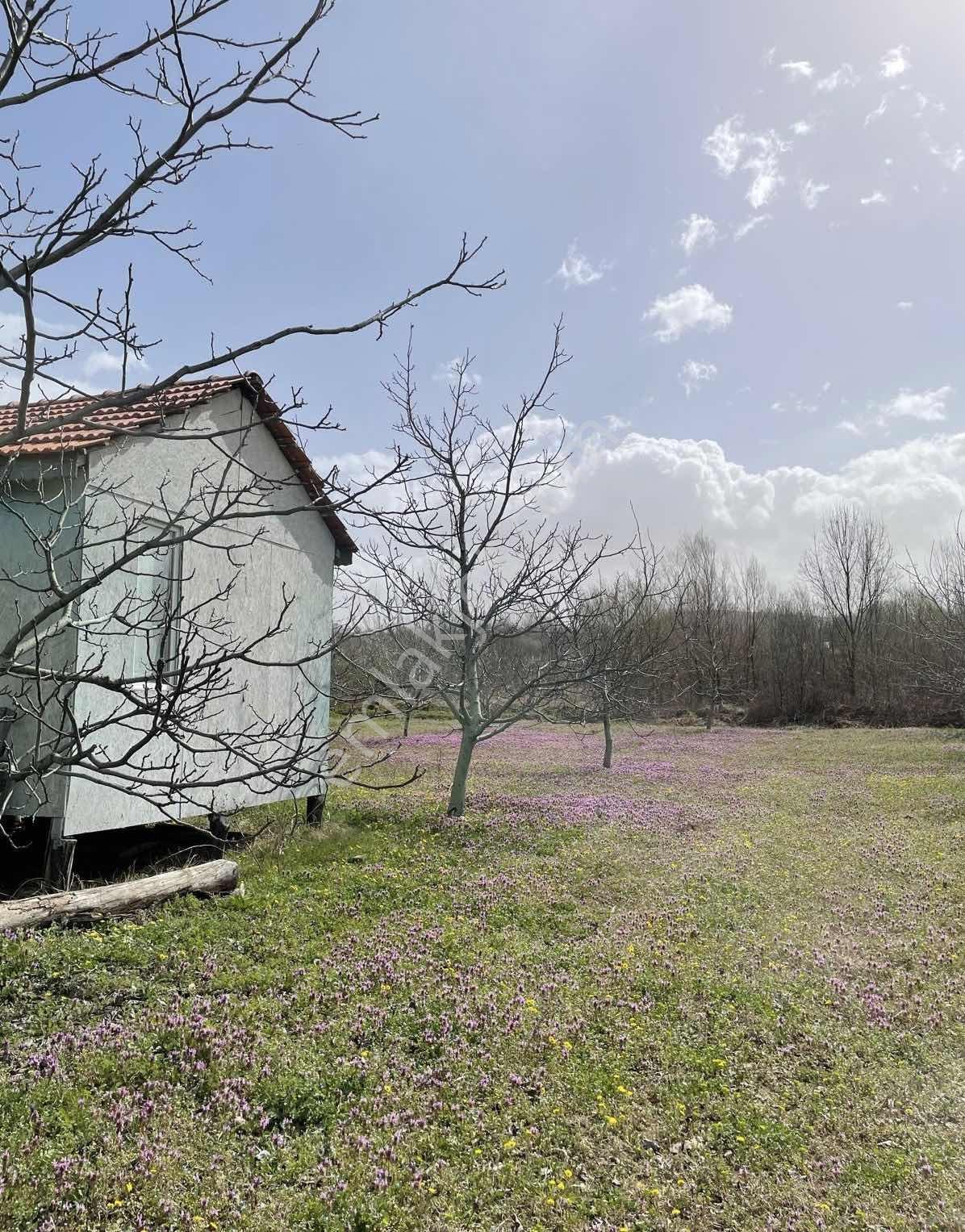 D-595 Karayolu Cepheli 6.006 M² Satılık Tarla — fotoğraf 2