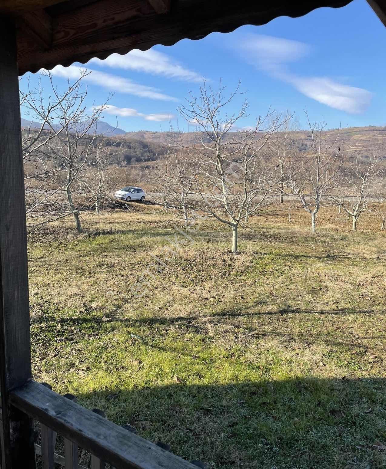 D-595 Karayolu Cepheli 6.006 M² Satılık Tarla — fotoğraf 3