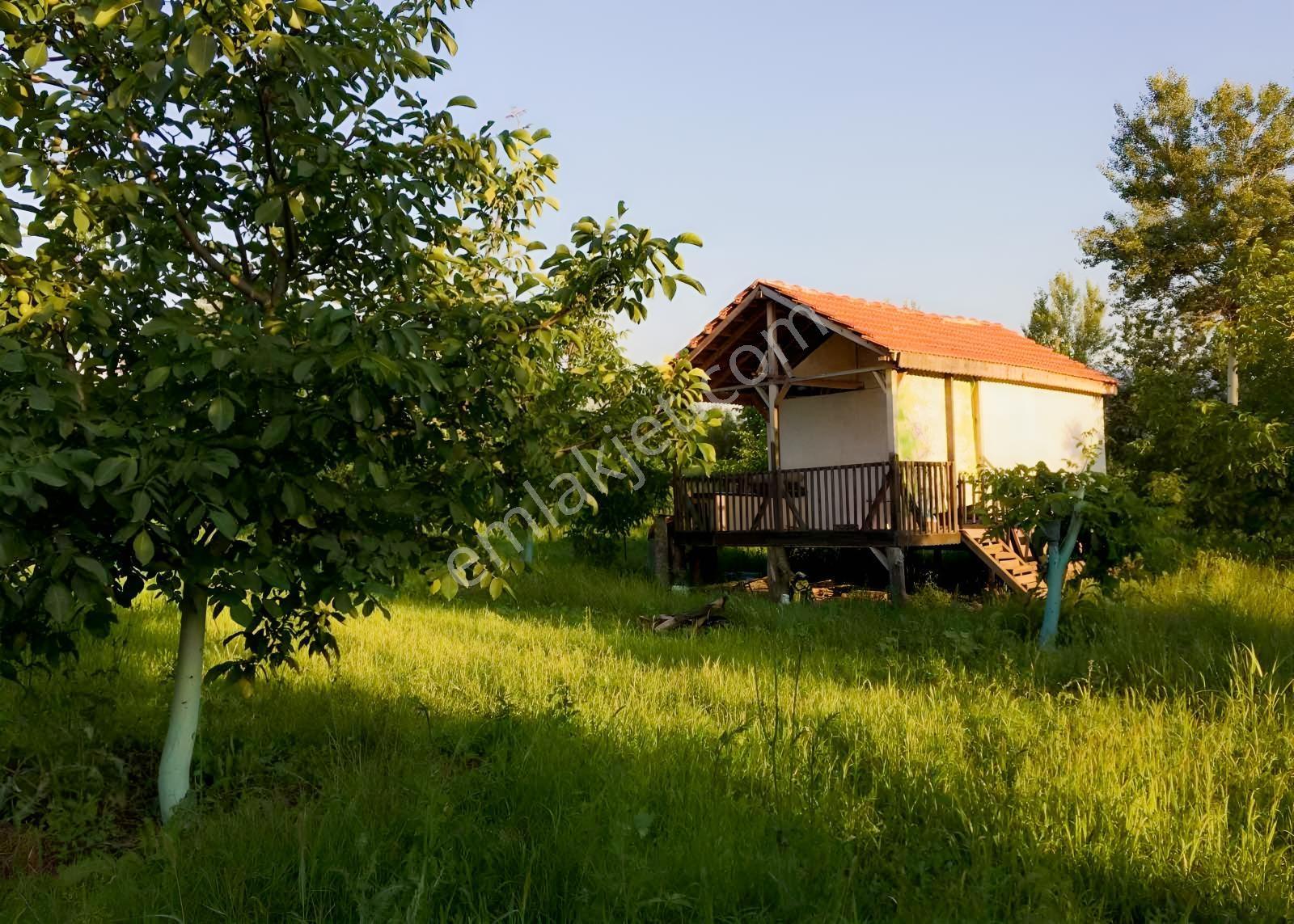 D-595 Karayolu Cepheli 6.006 M² Satılık Tarla — fotoğraf 5