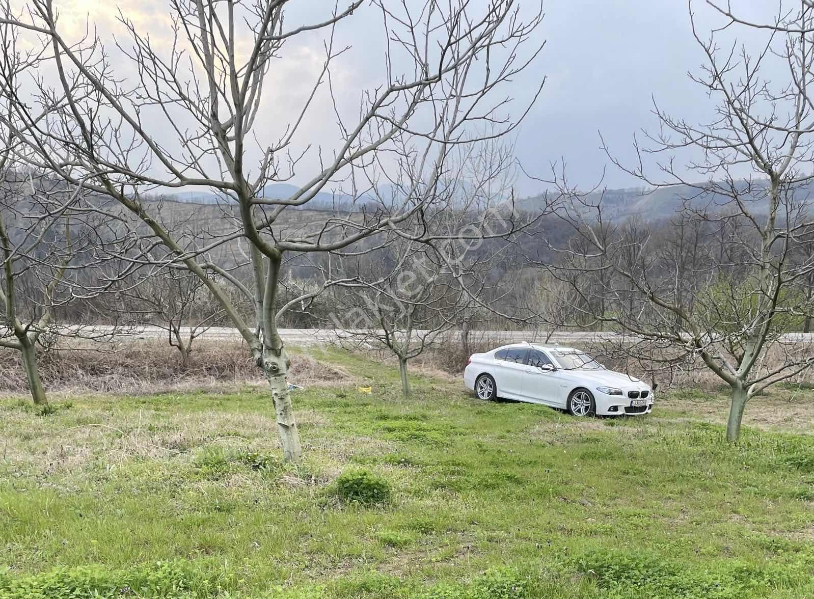 D-595 Karayolu Cepheli 6.006 M² Satılık Tarla — fotoğraf 8