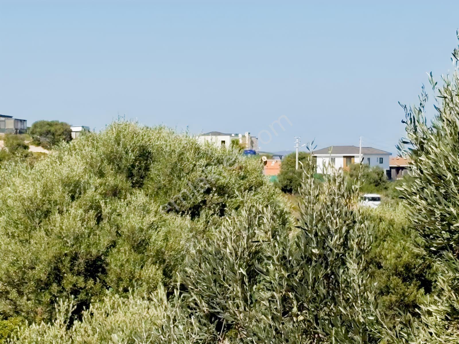 Çeşme Dalyanda İmarlı Kupon — fotoğraf 3