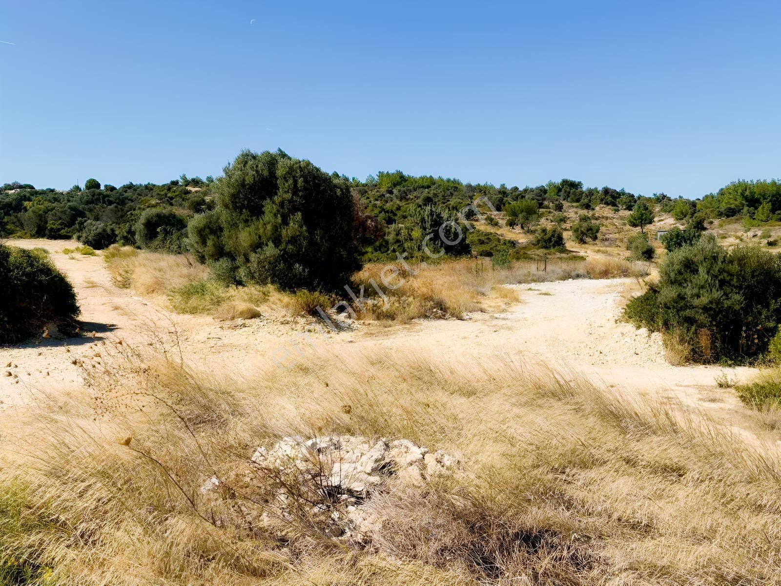 Çeşme Dalyanda İmarlı Kupon — fotoğraf 4