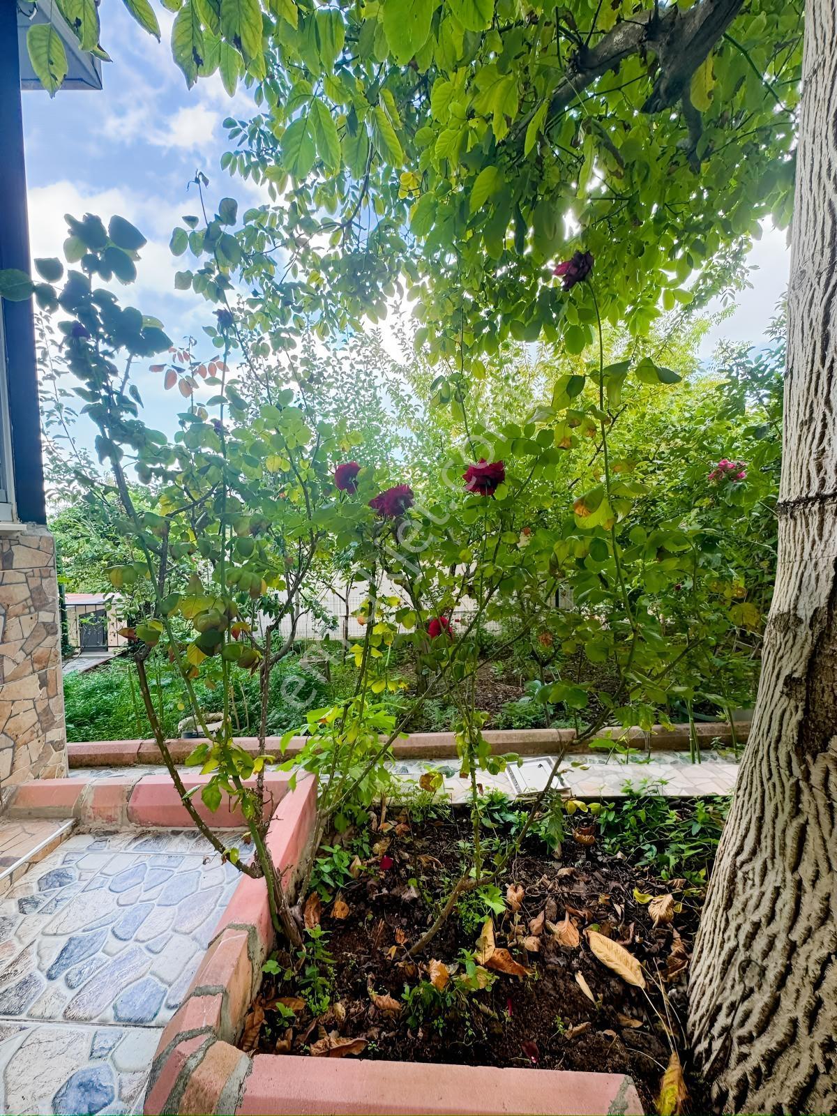 Yiğithan Dan Mezitli Fındıkpınarında Satılık Yayla Evi — fotoğraf 29