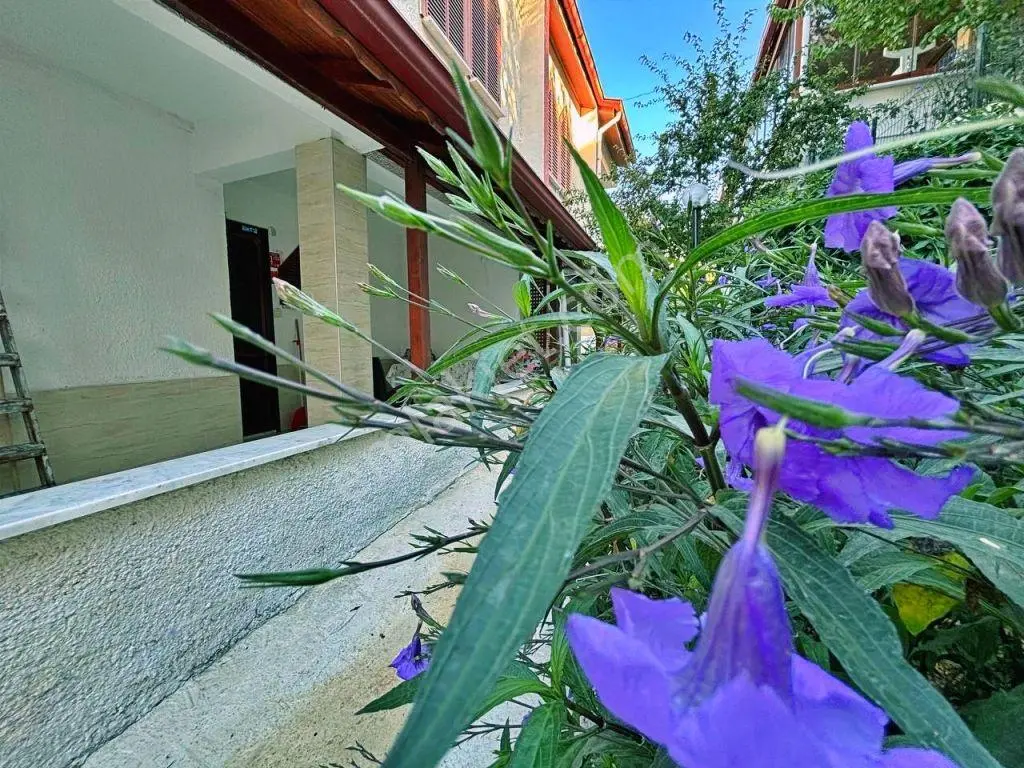 Yetkisi Uytundan Pelitköyde Denize 50 Mt. Doğalgazlı 3+1 Villa — fotoğraf 26