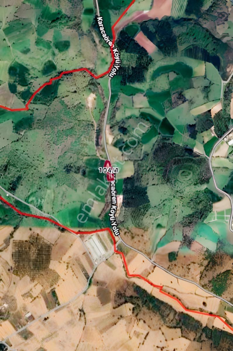 Kepsut'a 3.5 Km Mesafede Yola Cepheli Satılık 3.5 Dönüm Tarla — fotoğraf 9