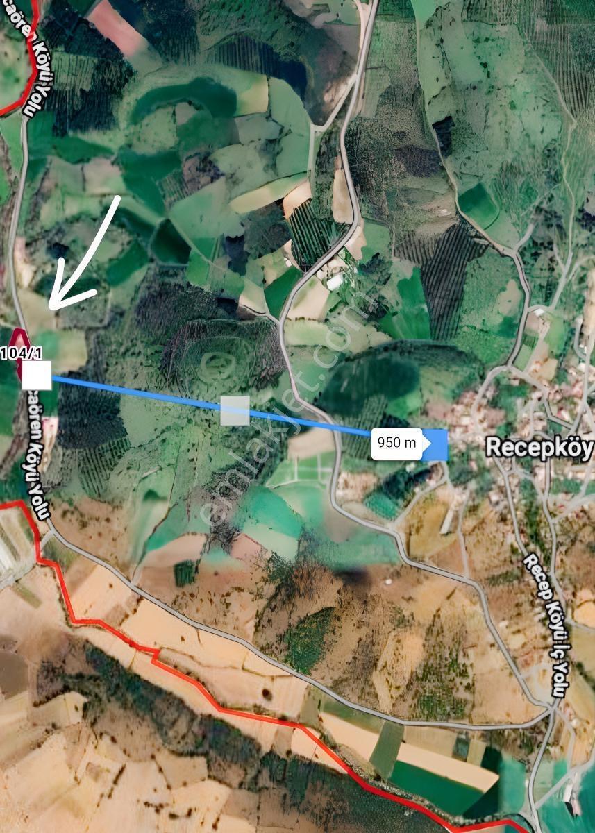 Kepsut'a 3.5 Km Mesafede Yola Cepheli Satılık 3.5 Dönüm Tarla — fotoğraf 10