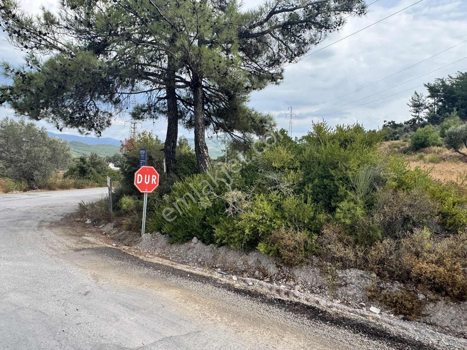 Milas Çiftlikte 2.596 M² Yatırımlık Satılık Tarla — fotoğraf 4