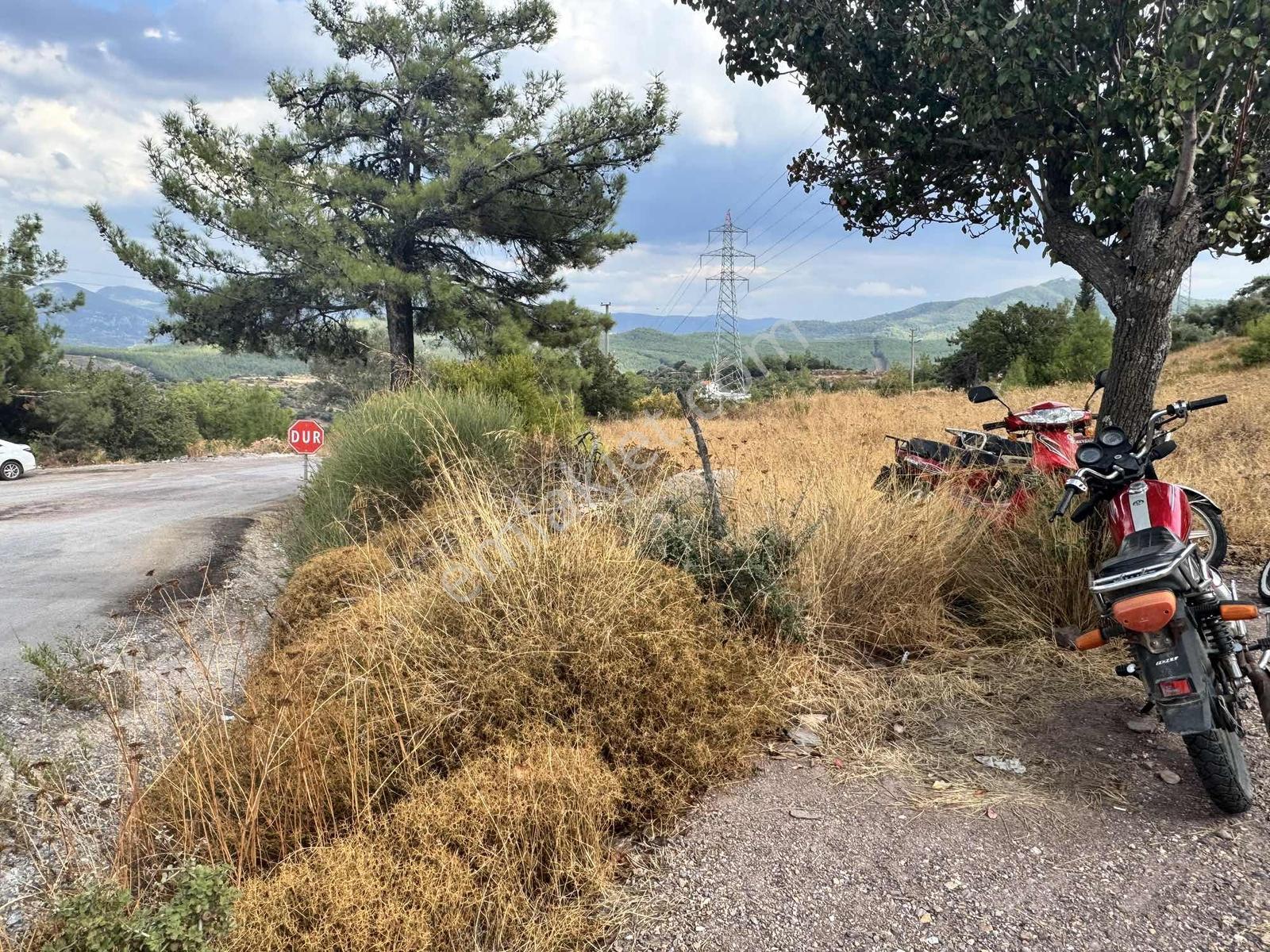 Milas Çiftlikte 2.596 M² Yatırımlık Satılık Tarla — fotoğraf 5