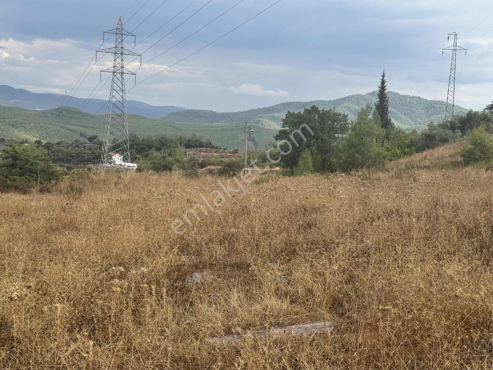 Milas Çiftlikte 2.596 M² Yatırımlık Satılık Tarla — fotoğraf 6