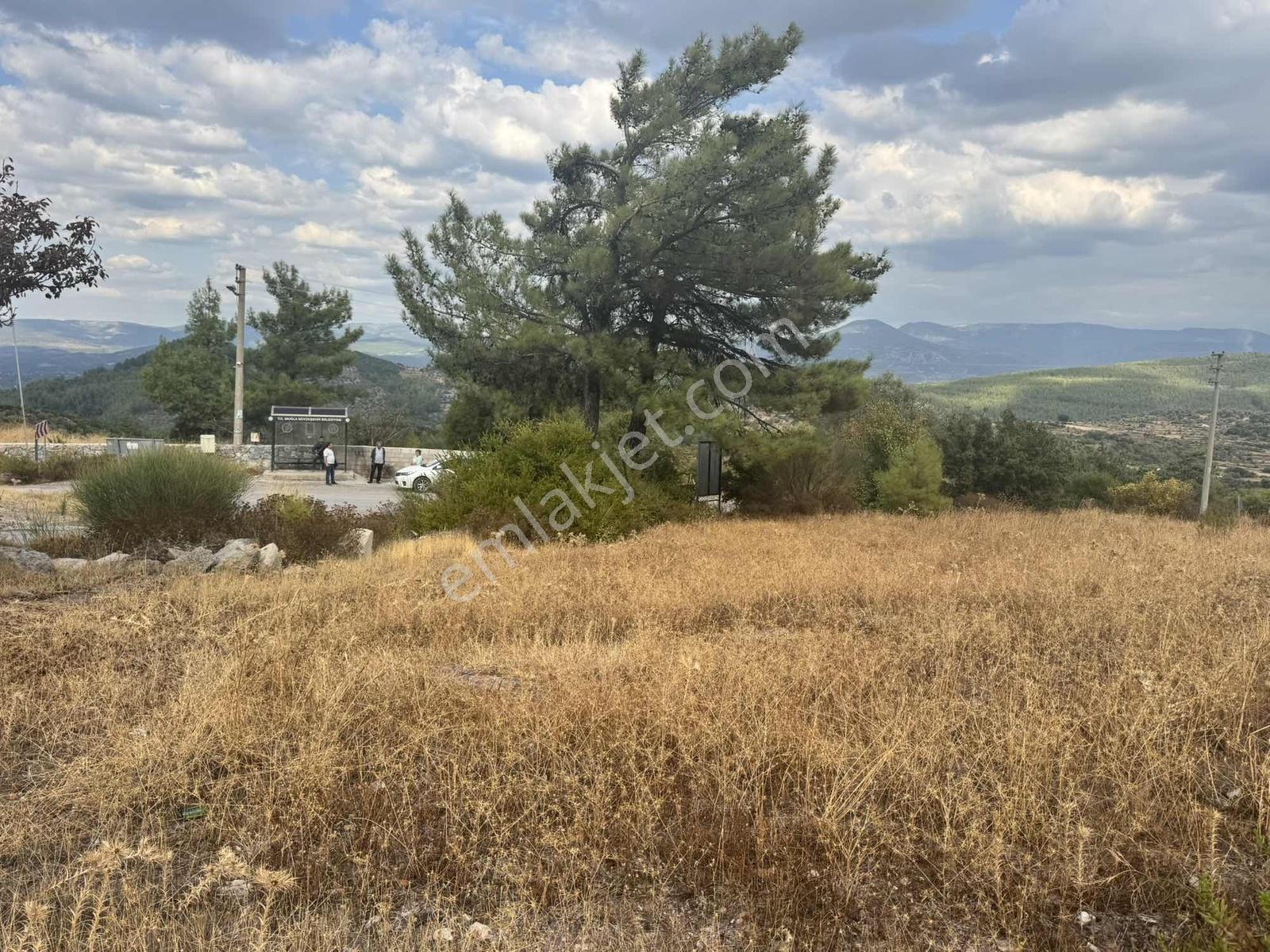 Milas Çiftlikte 2.596 M² Yatırımlık Satılık Tarla — fotoğraf 7