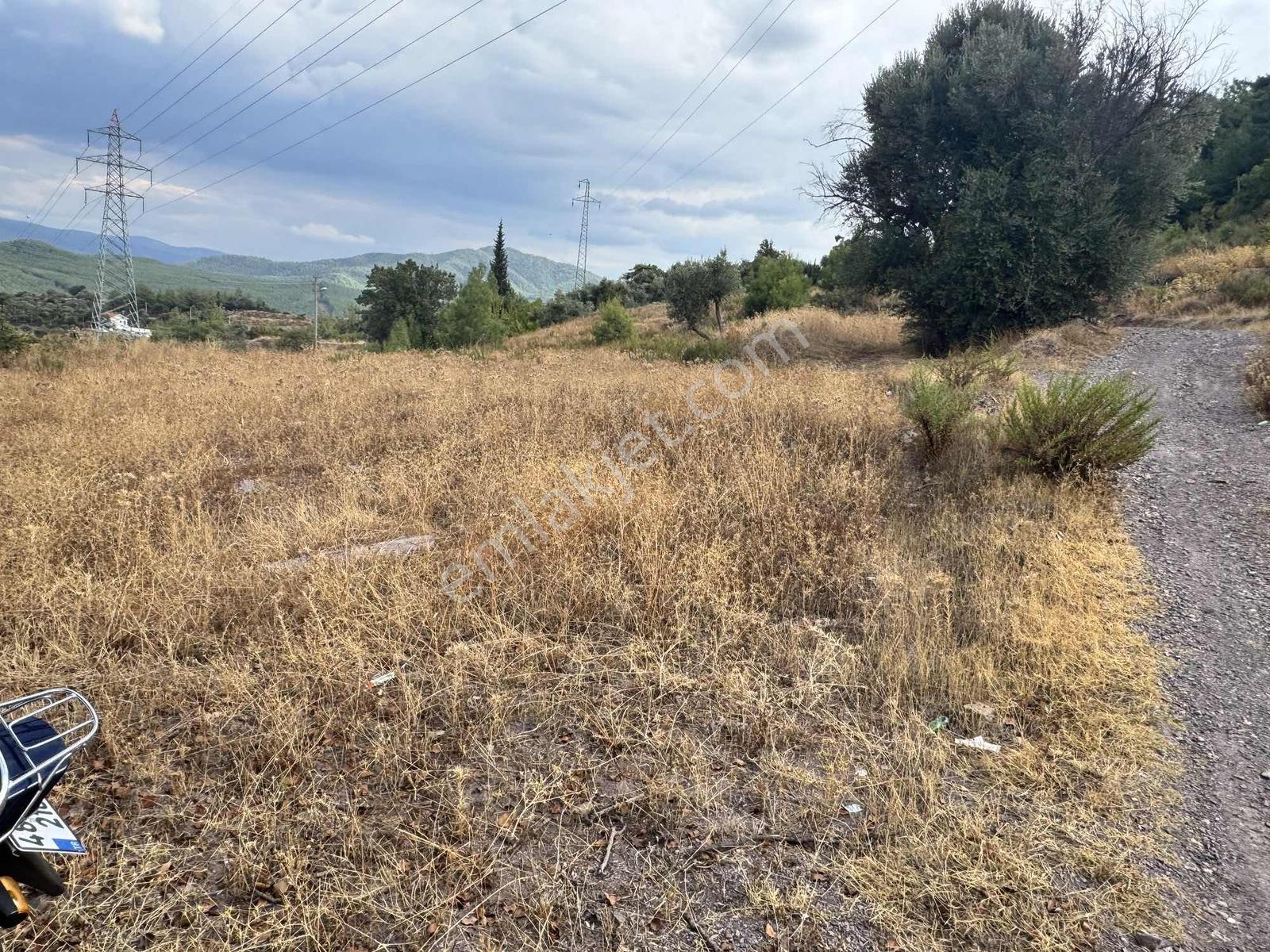 Milas Çiftlikte 2.596 M² Yatırımlık Satılık Tarla — fotoğraf 8