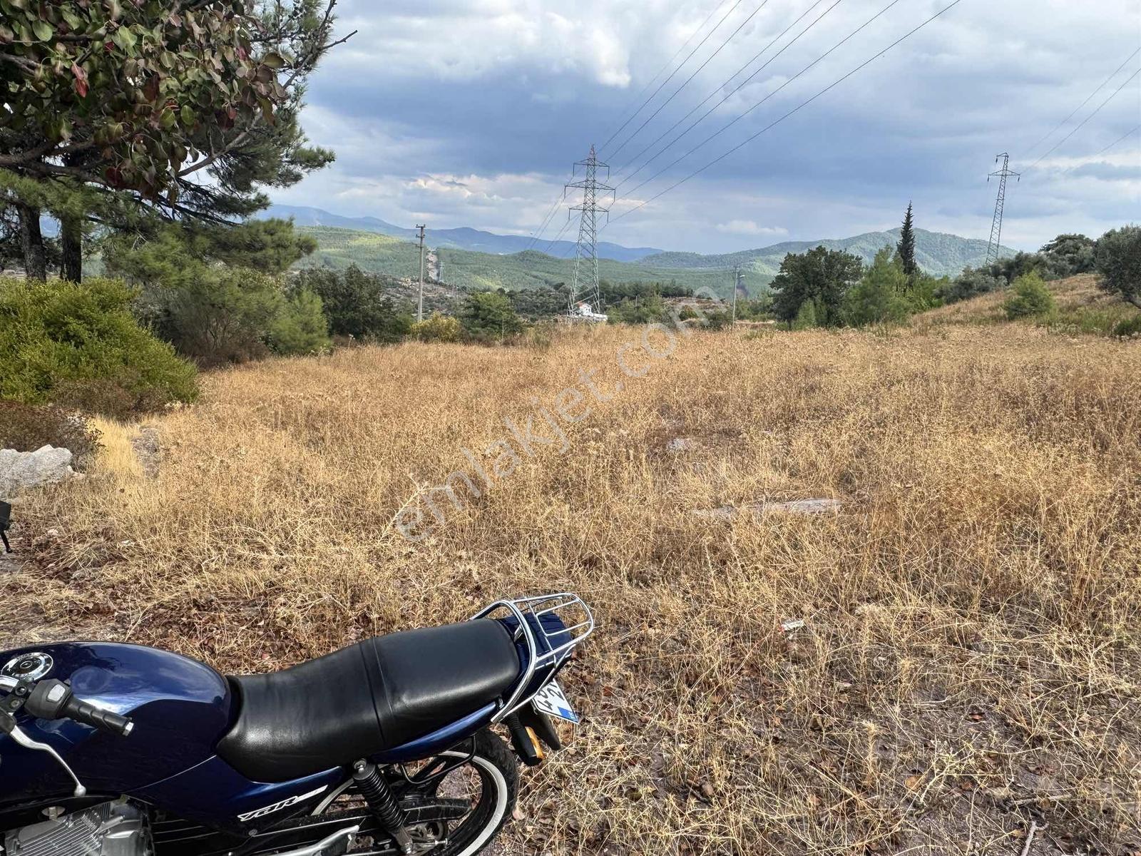 Milas Çiftlikte 2.596 M² Yatırımlık Satılık Tarla — fotoğraf 9