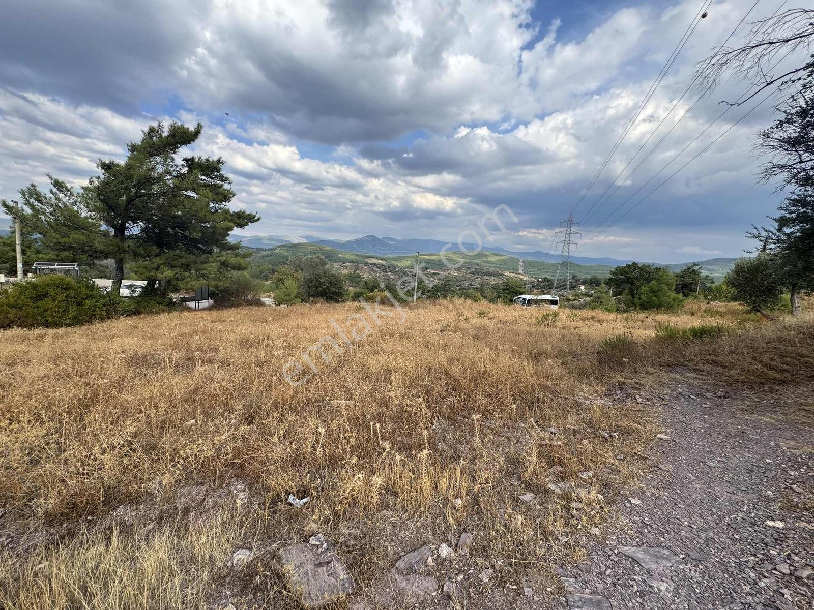 Milas Çiftlikte 2.596 M² Yatırımlık Satılık Tarla — fotoğraf 10