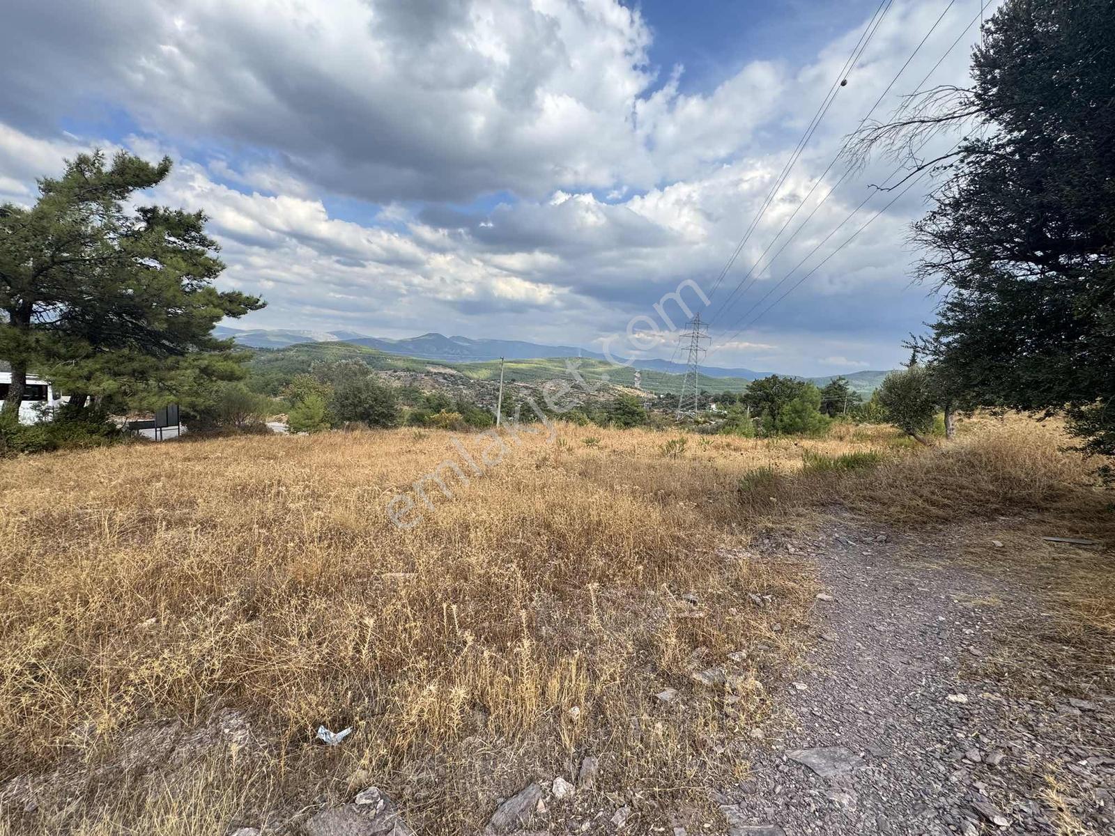 Milas Çiftlikte 2.596 M² Yatırımlık Satılık Tarla — fotoğraf 12