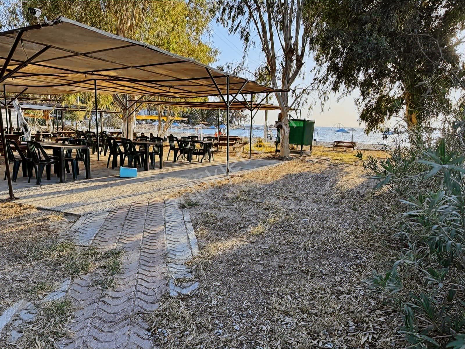 Milas Bozbük Denize Yakın Satılık Villa — fotoğraf 13