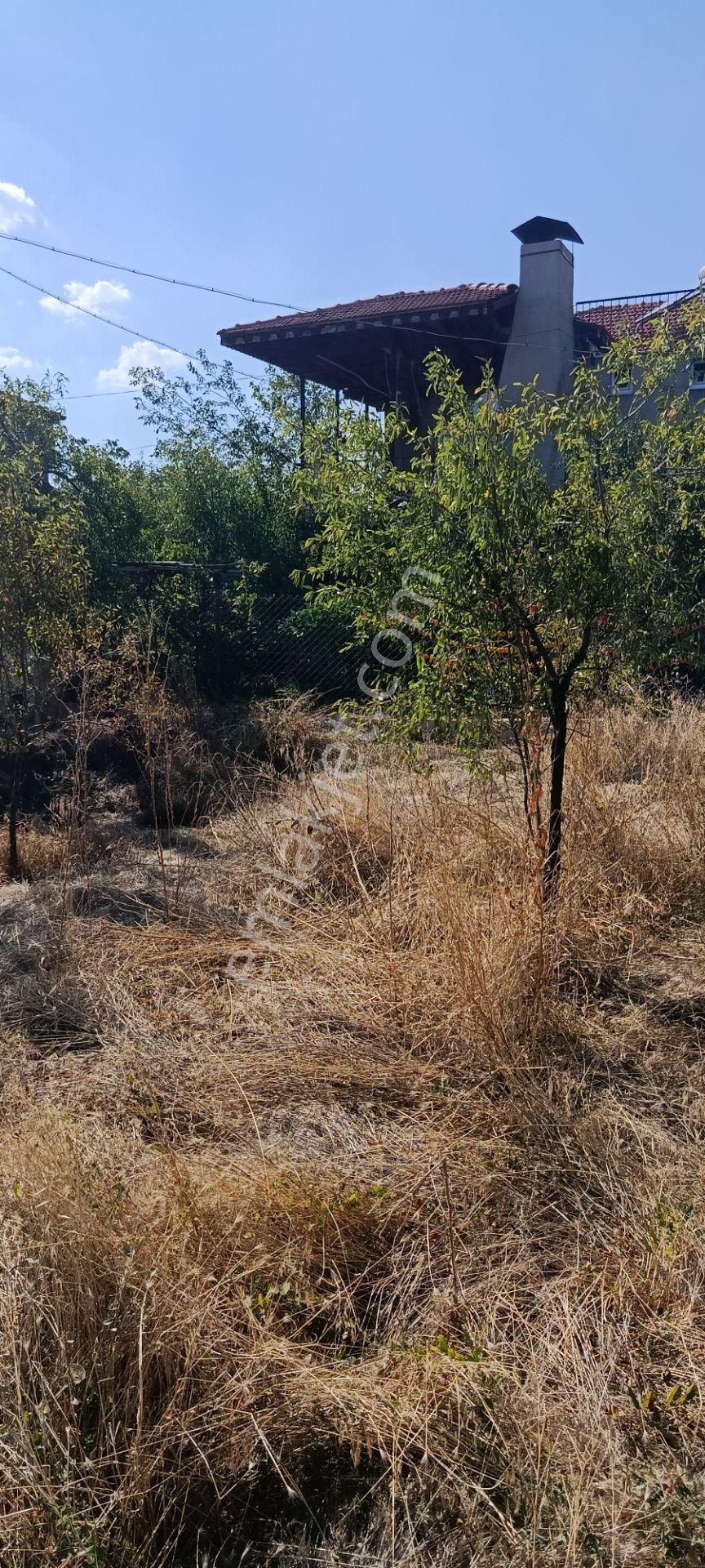 Denizli Acıpayam Yeşilyuva Satılık Arsa — fotoğraf 12