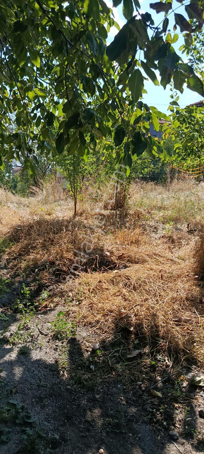 Denizli Acıpayam Yeşilyuva Satılık Arsa — fotoğraf 13