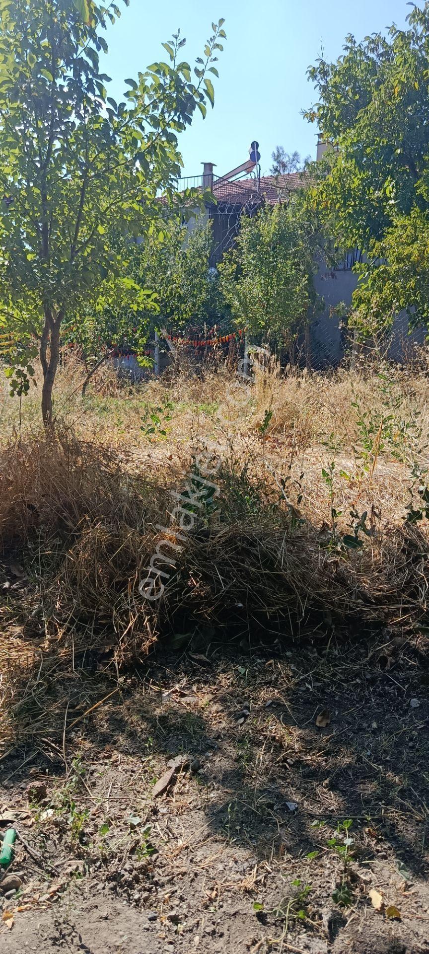 Denizli Acıpayam Yeşilyuva Satılık Arsa — fotoğraf 14