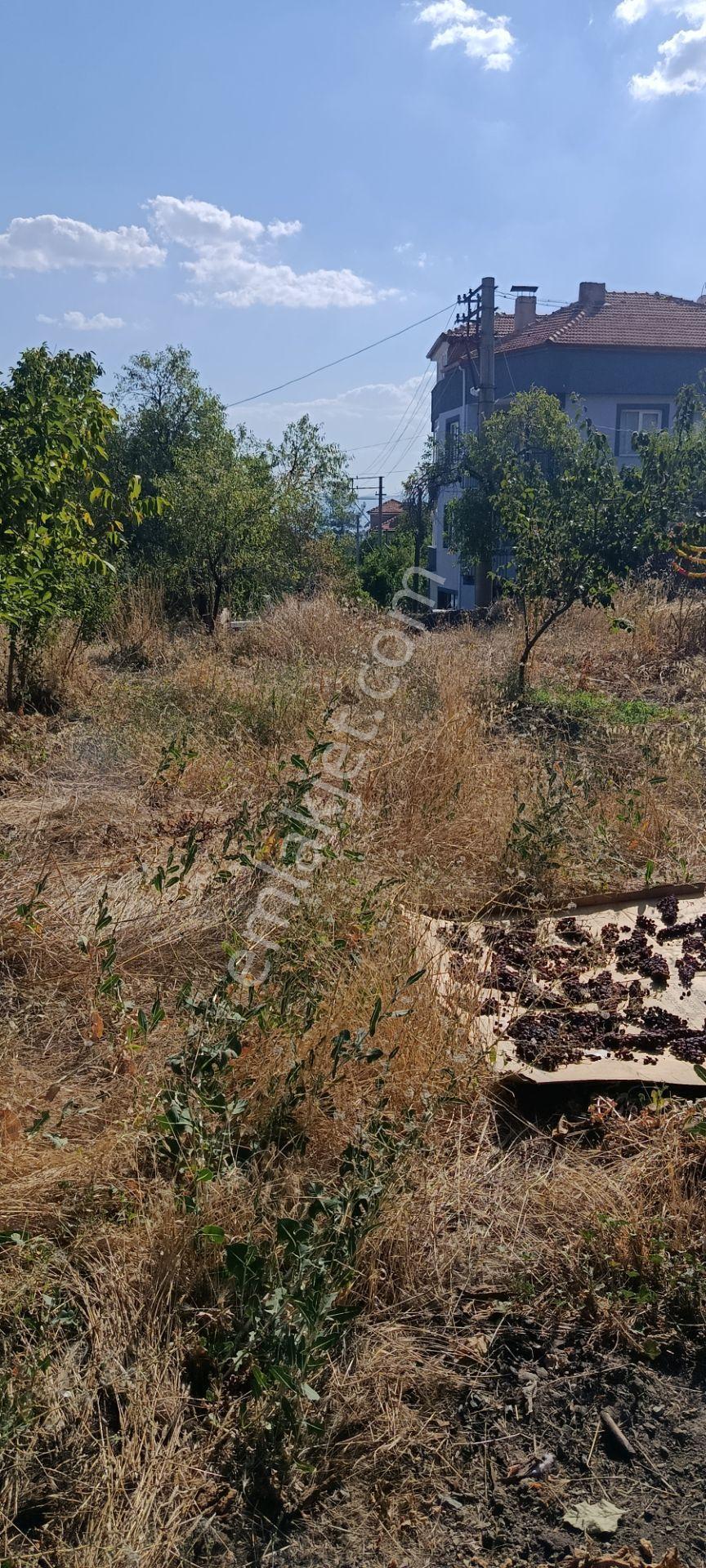 Denizli Acıpayam Yeşilyuva Satılık Arsa — fotoğraf 15