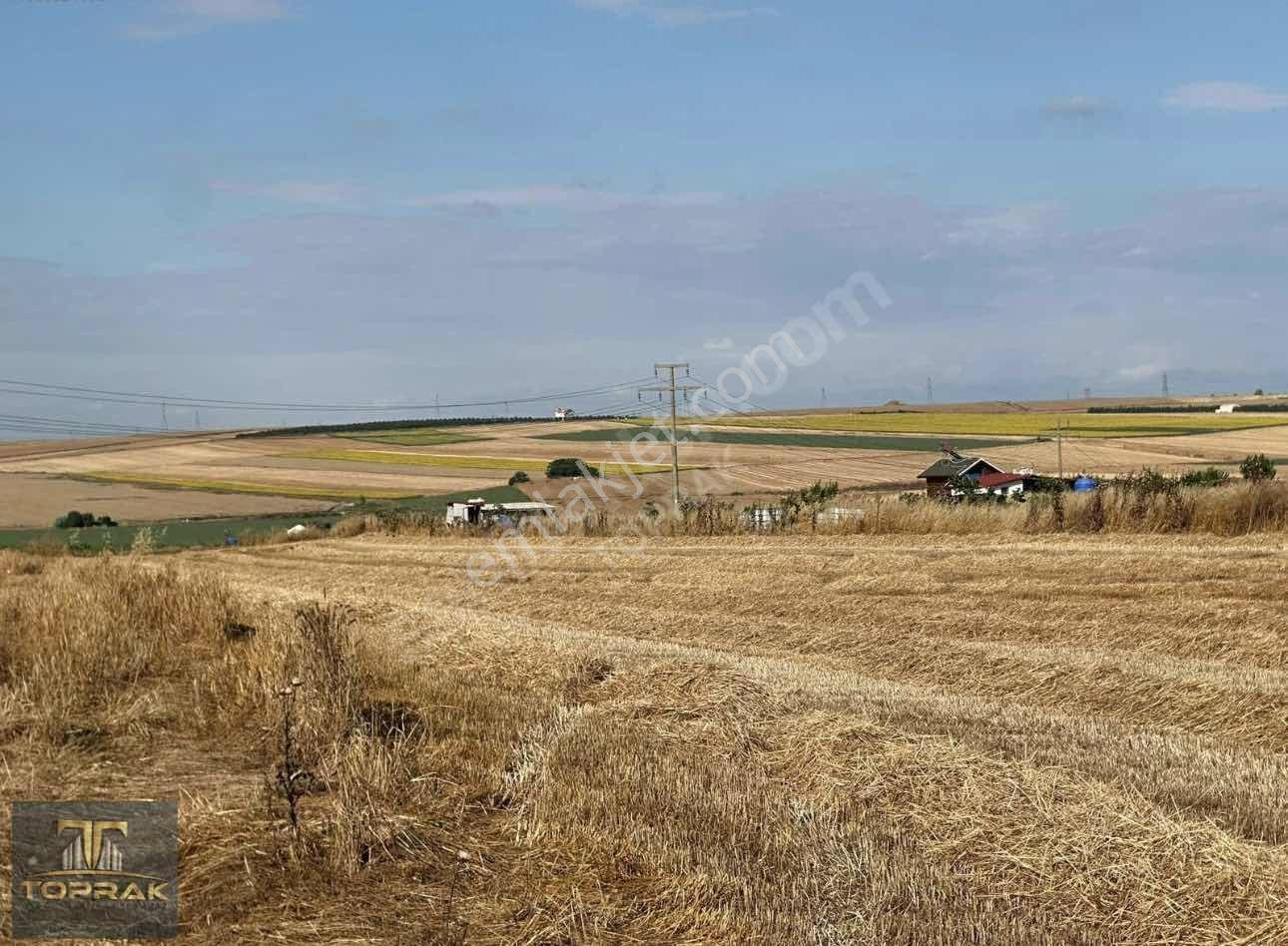 Tekırdağ Marmaraereğlısı'nde Taksıtlı Satılık Arsalar — fotoğraf 4