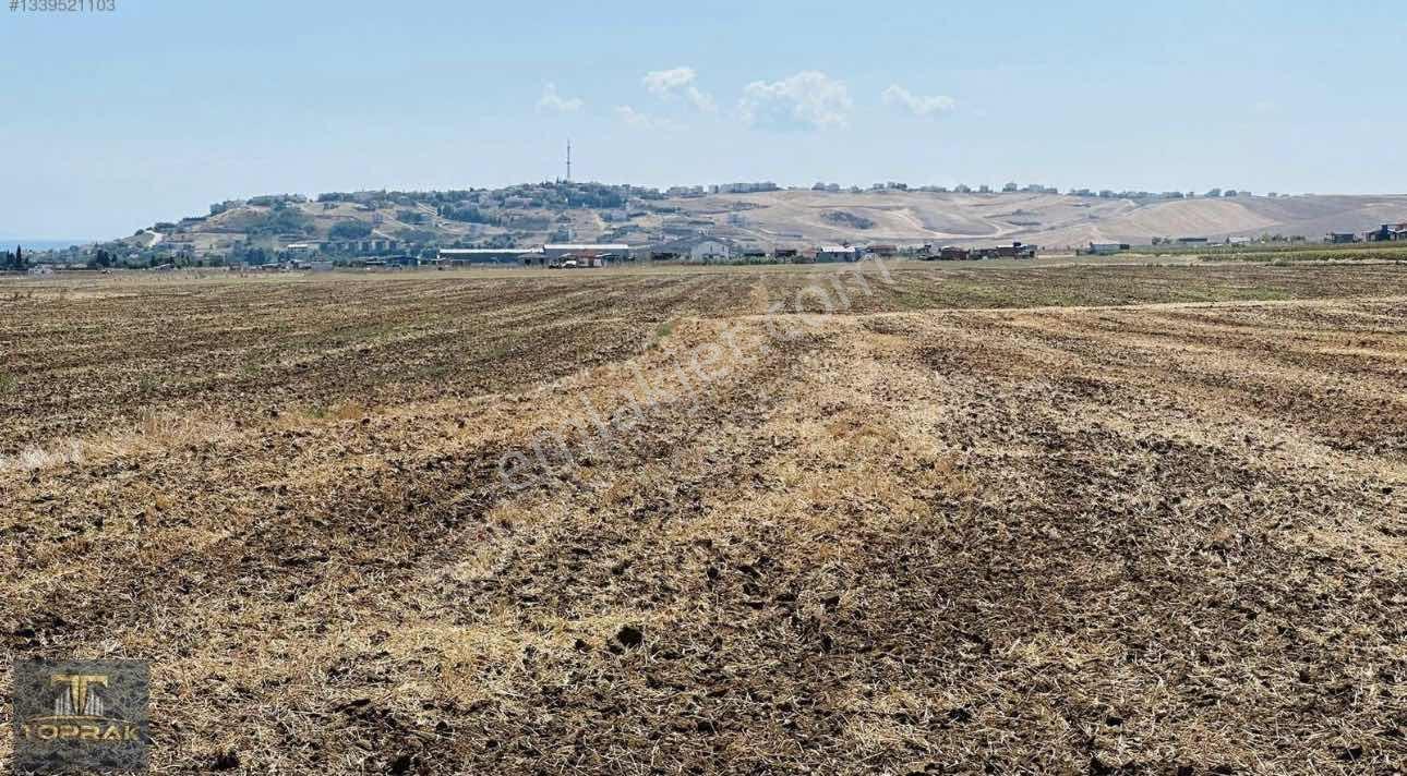Tekırdağ Marmaraereğlısı'nde Taksıtlı Satılık Arsalar — fotoğraf 11