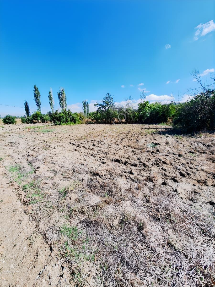 İl Merkezine 15dk,içinde Suyu Var,kasaba 150m,resmı Yollu — fotoğraf 2
