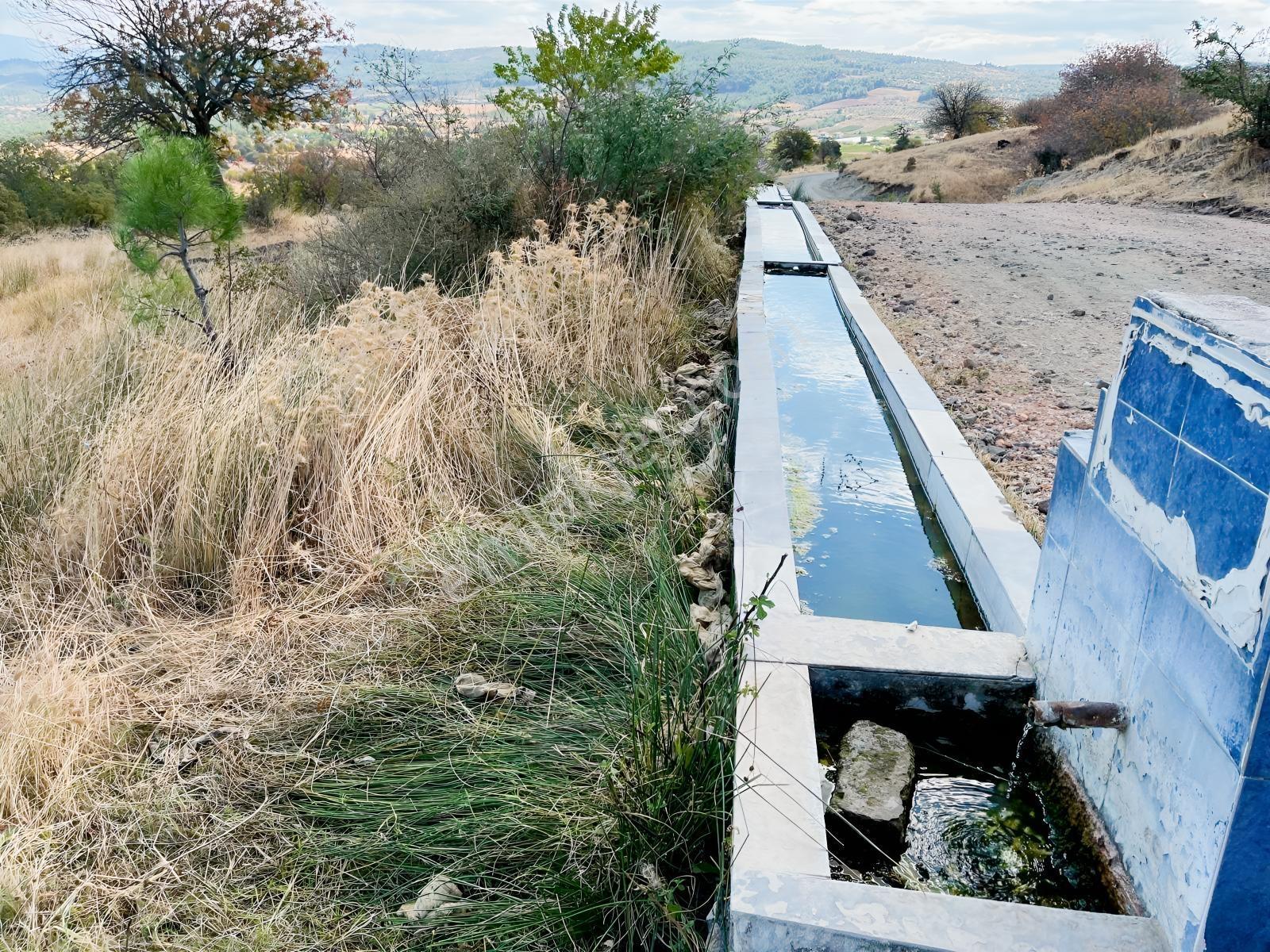 Manisa Yunusemre Mallesi Dazyurt Mevkinde Satılık Tarla