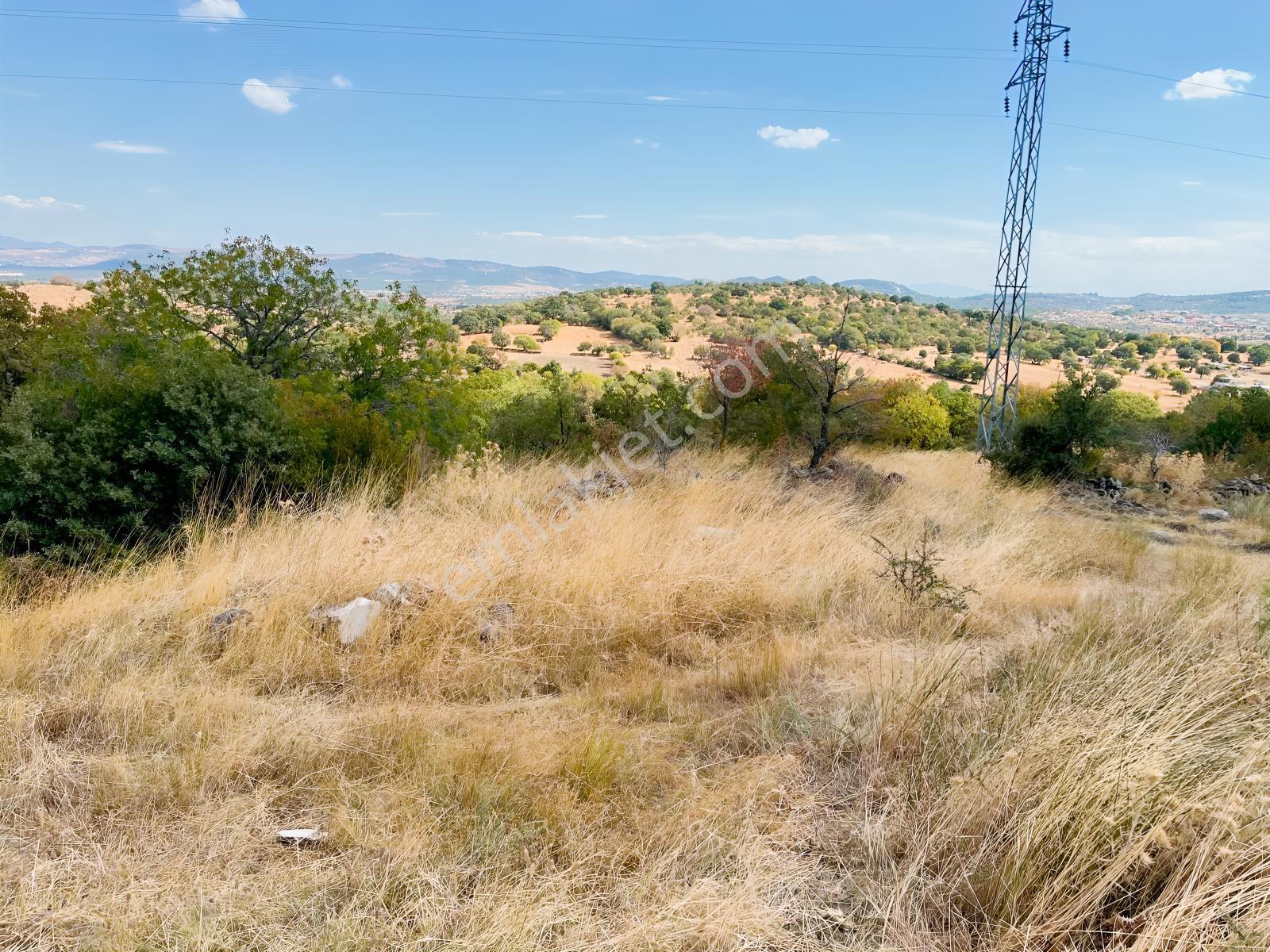 Manisa Yunusemre Mallesi Dazyurt Mevkinde Satılık Tarla — fotoğraf 3