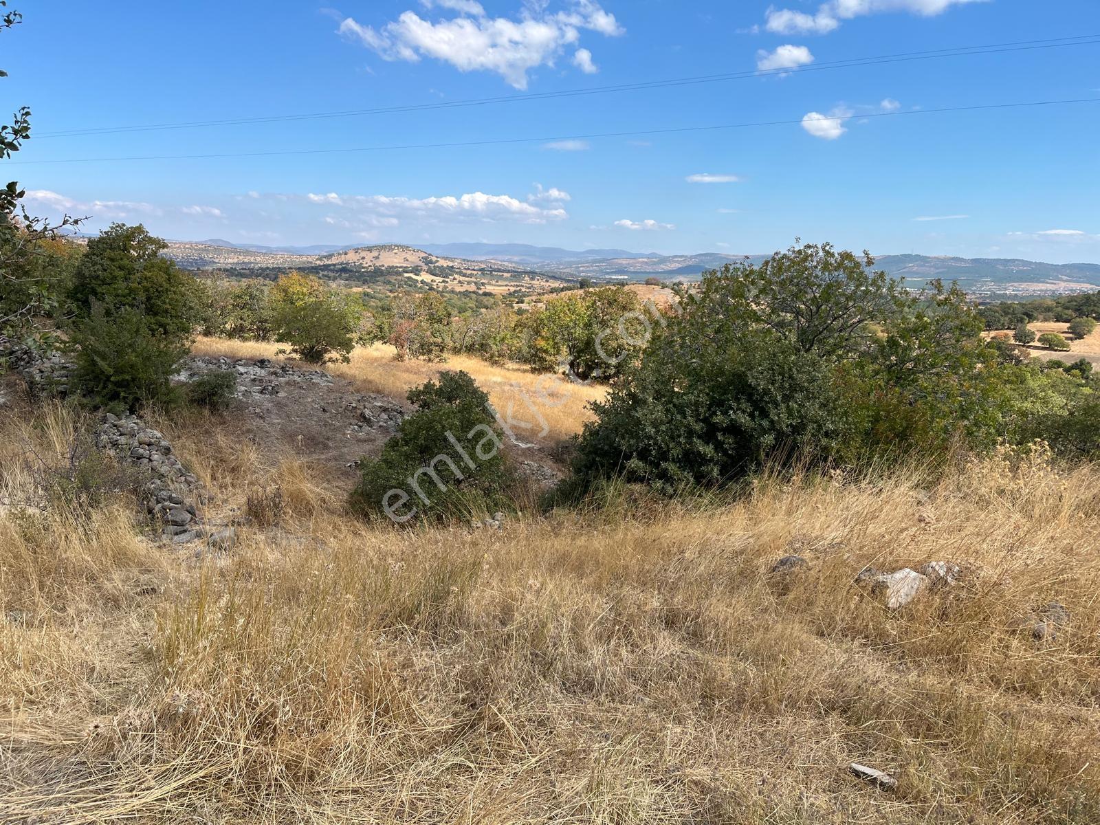 Manisa Yunusemre Mallesi Dazyurt Mevkinde Satılık Tarla — fotoğraf 4