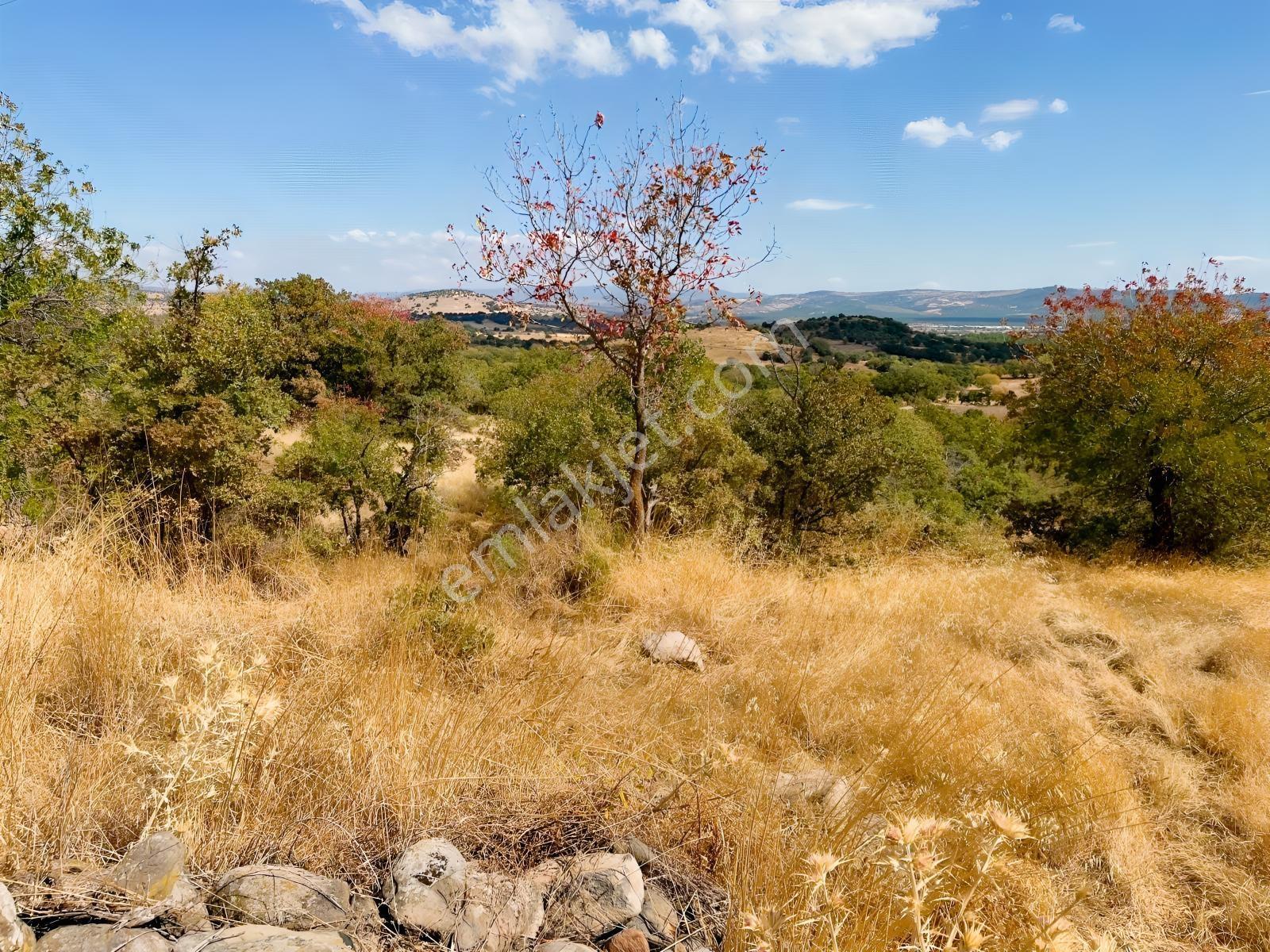 Manisa Yunusemre Mallesi Dazyurt Mevkinde Satılık Tarla — fotoğraf 7