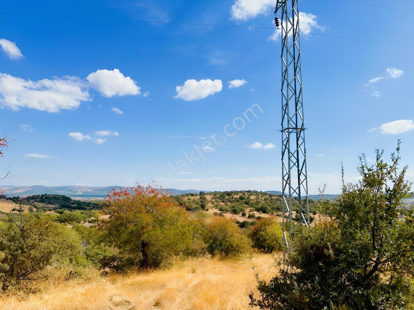 Manisa Yunusemre Mallesi Dazyurt Mevkinde Satılık Tarla — fotoğraf 8