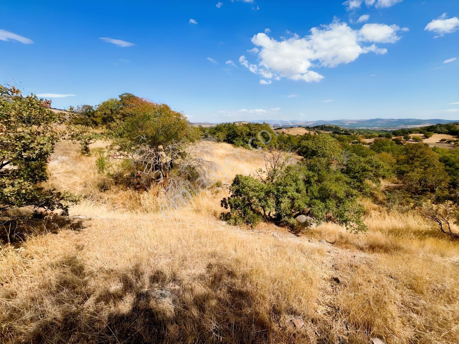Manisa Yunusemre Mallesi Dazyurt Mevkinde Satılık Tarla — fotoğraf 12
