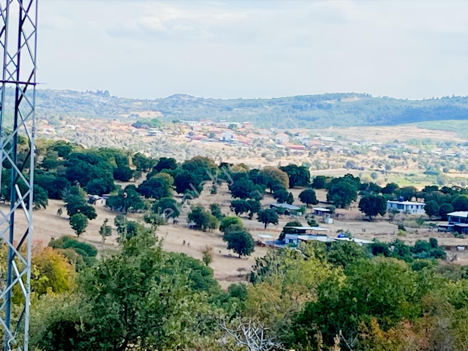 Manisa Yunusemre Mallesi Dazyurt Mevkinde Satılık Tarla — fotoğraf 17