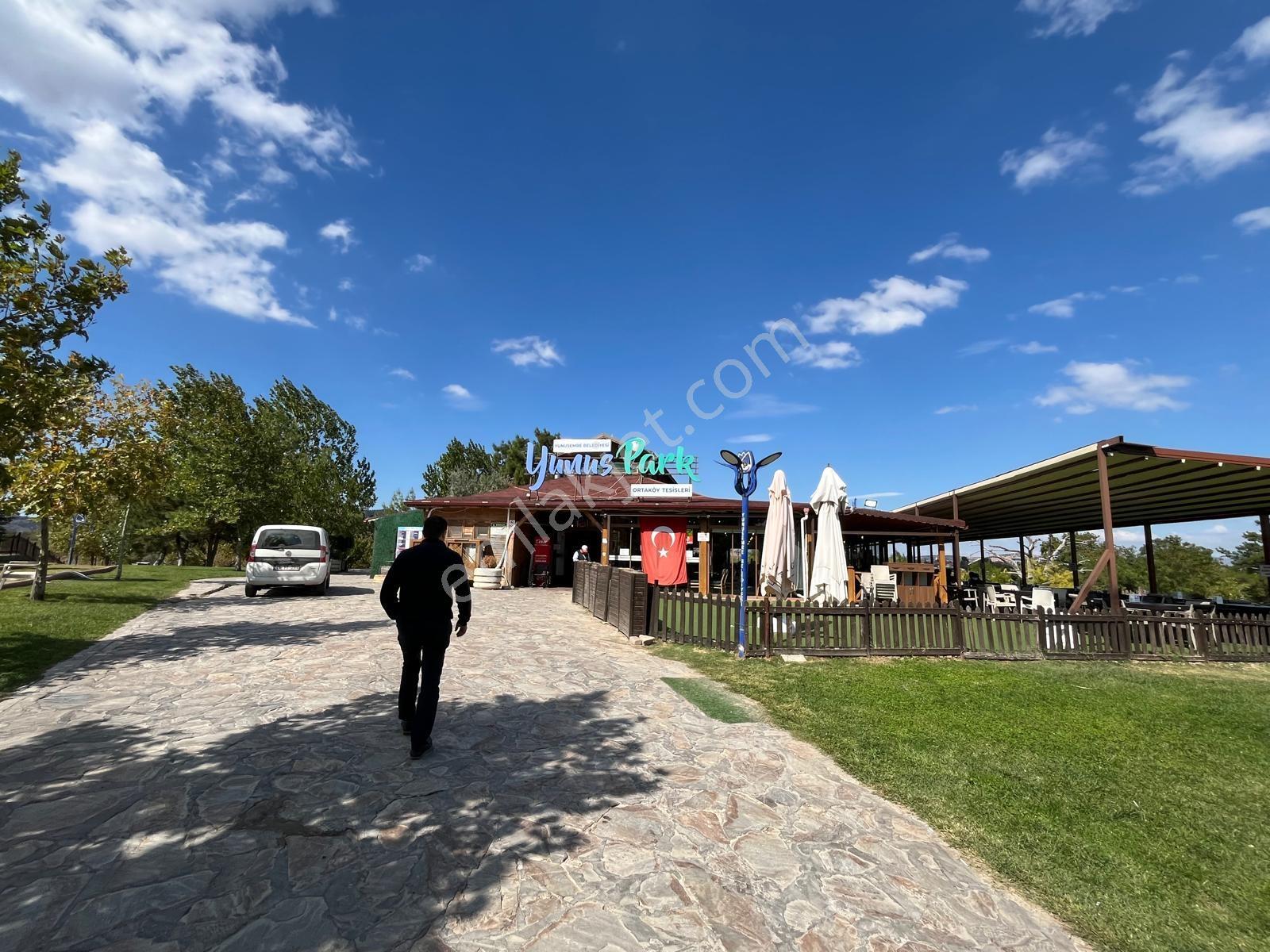 Manisa Yunusemre Mallesi Dazyurt Mevkinde Satılık Tarla — fotoğraf 23