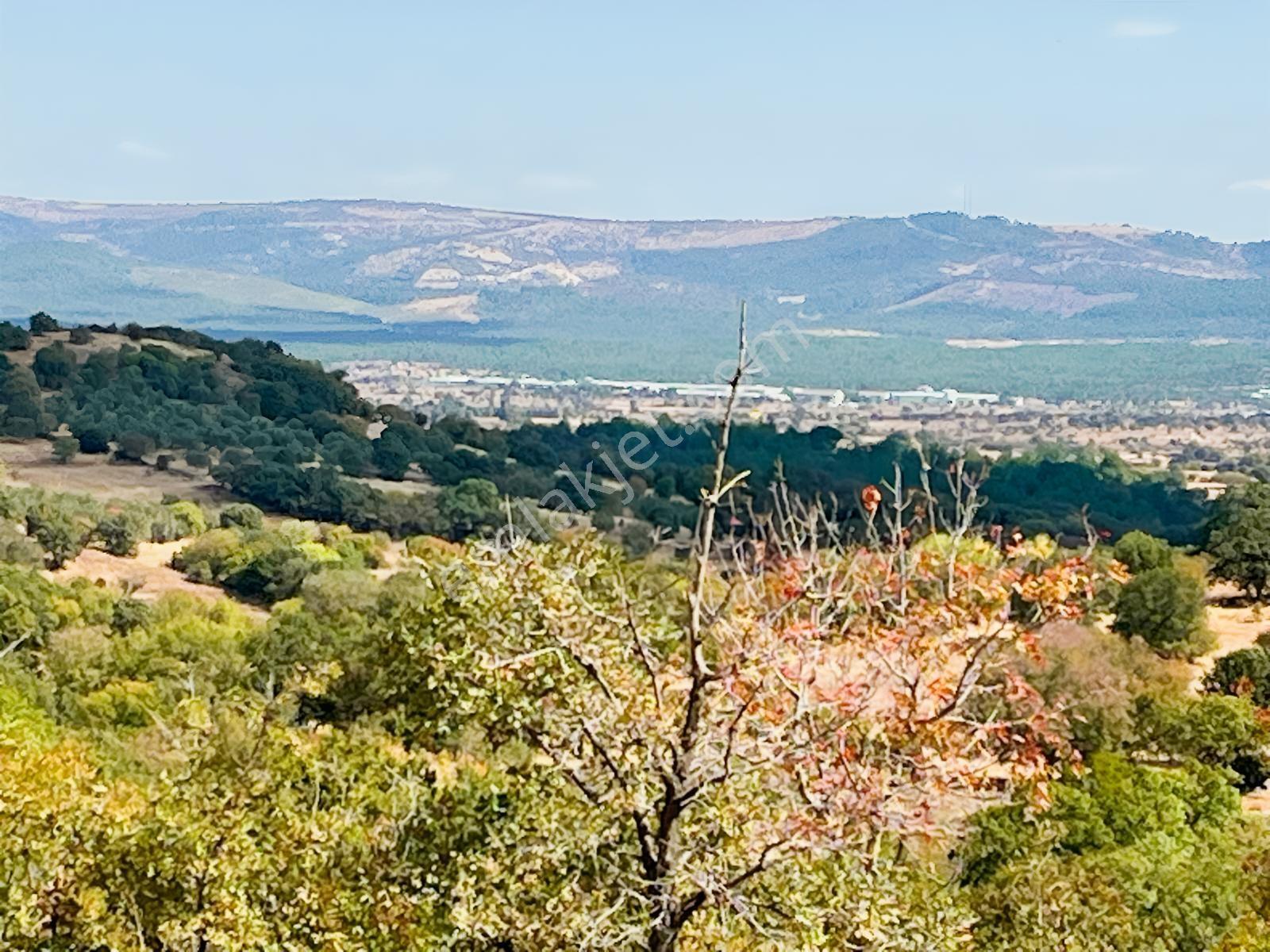 Manisa Yunusemre Mallesi Dazyurt Mevkinde Satılık Tarla — fotoğraf 24