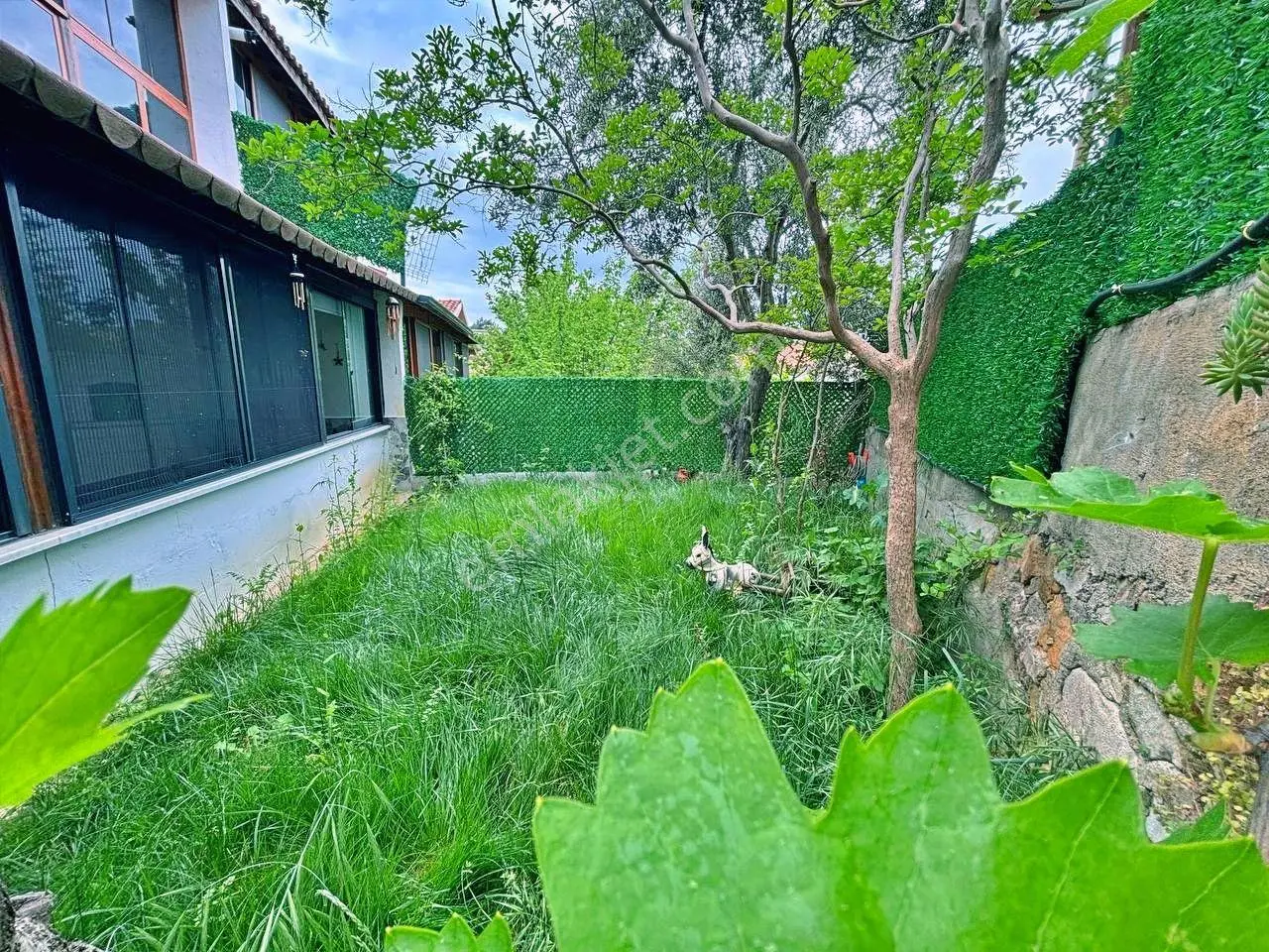 Uytundan Pelitköyde Denize 300 Metre Bahçe Kullanımlı 2+1 Villa — fotoğraf 11
