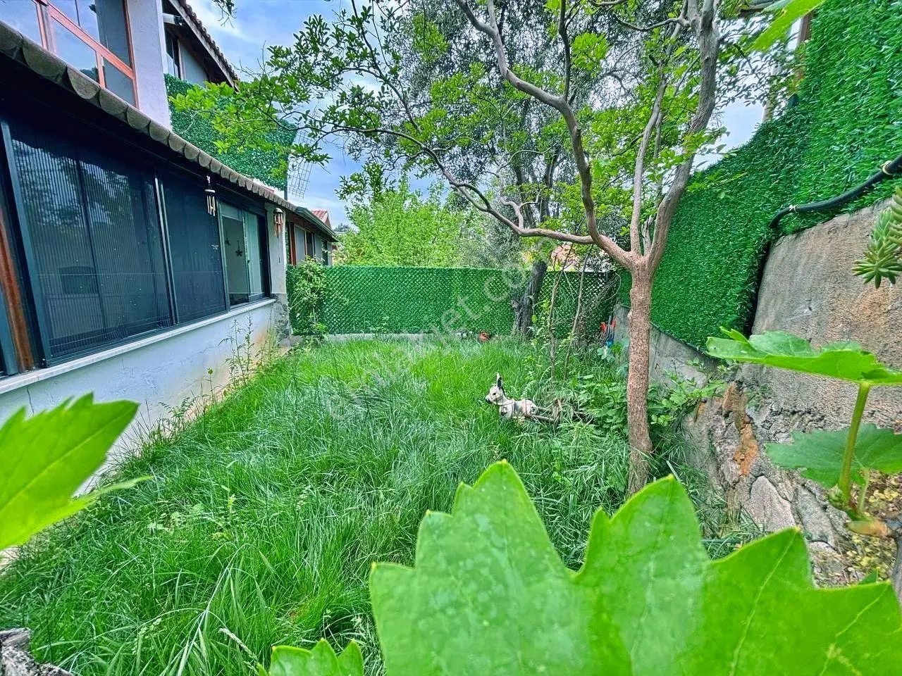 Uytundan Pelitköyde Denize 300 Metre Bahçe Kullanımlı 2+1 Villa — fotoğraf 25