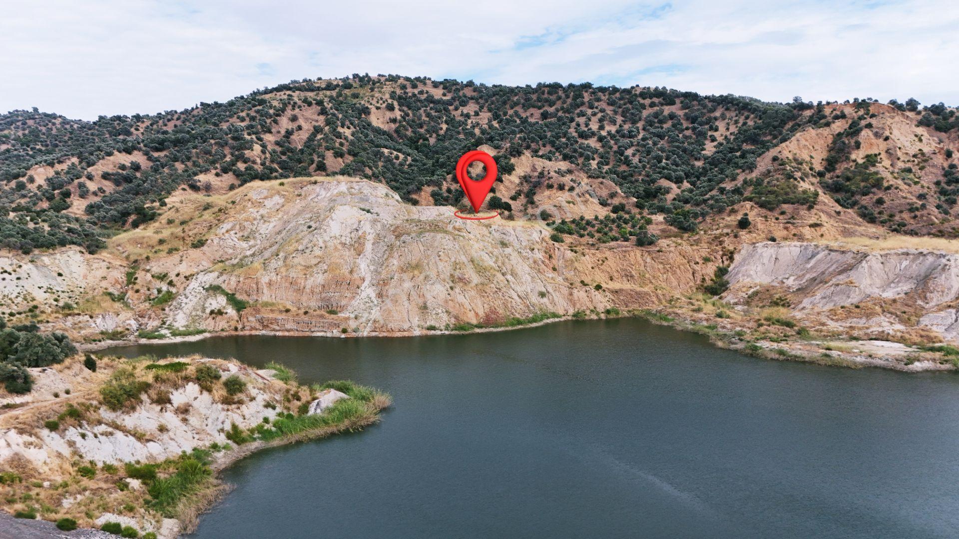 Nazilli Hasköy'De 10.950 M² Satılık Doğa Manzaralı Tarla — fotoğraf 7