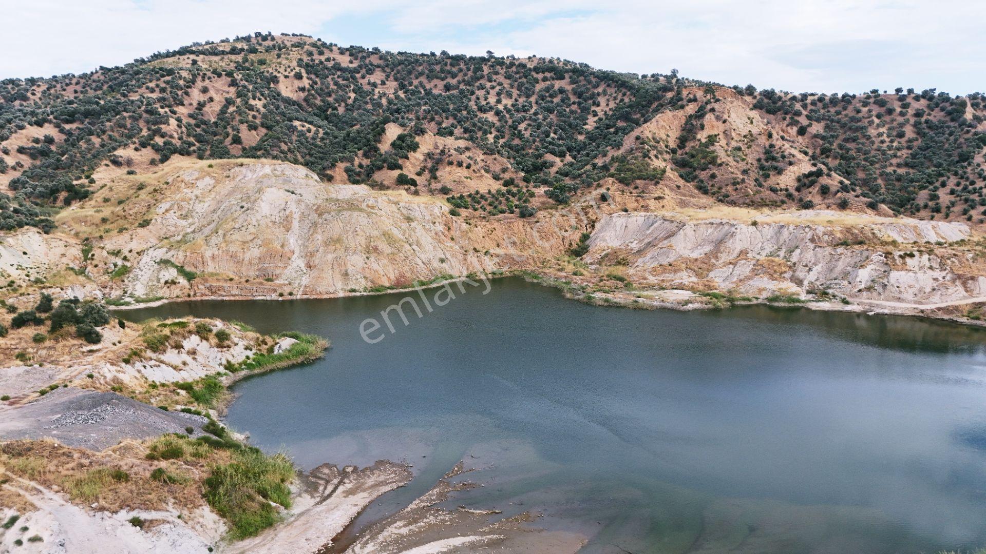 Nazilli Hasköy'De 10.950 M² Satılık Doğa Manzaralı Tarla — fotoğraf 9