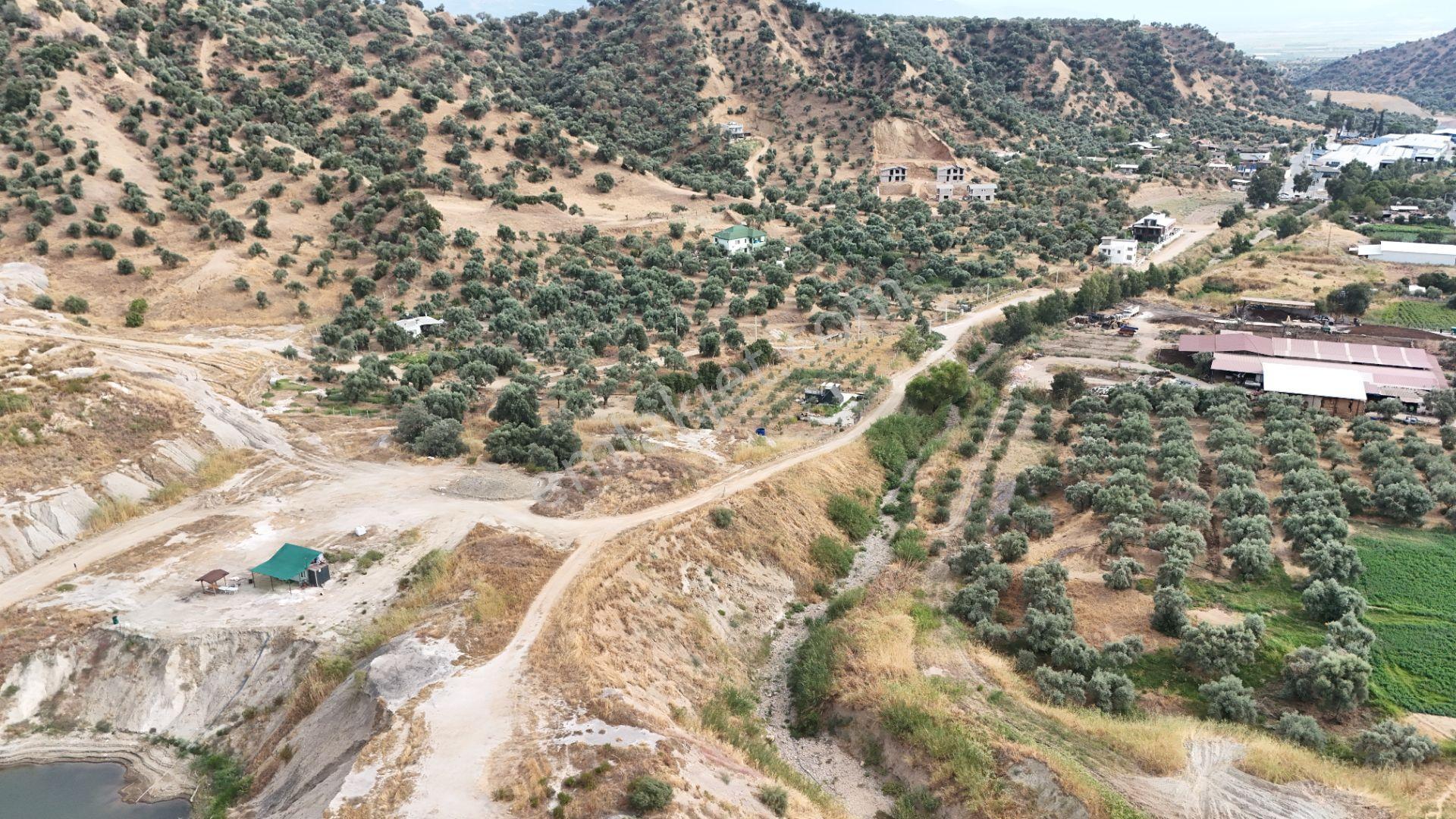 Nazilli Hasköy'De 10.950 M² Satılık Doğa Manzaralı Tarla — fotoğraf 14