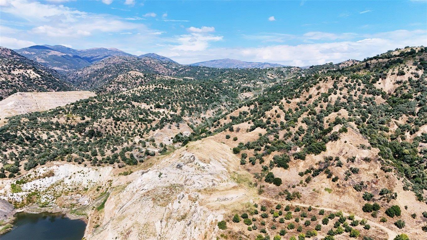 Nazilli Hasköy'De 10.950 M² Satılık Doğa Manzaralı Tarla — fotoğraf 19