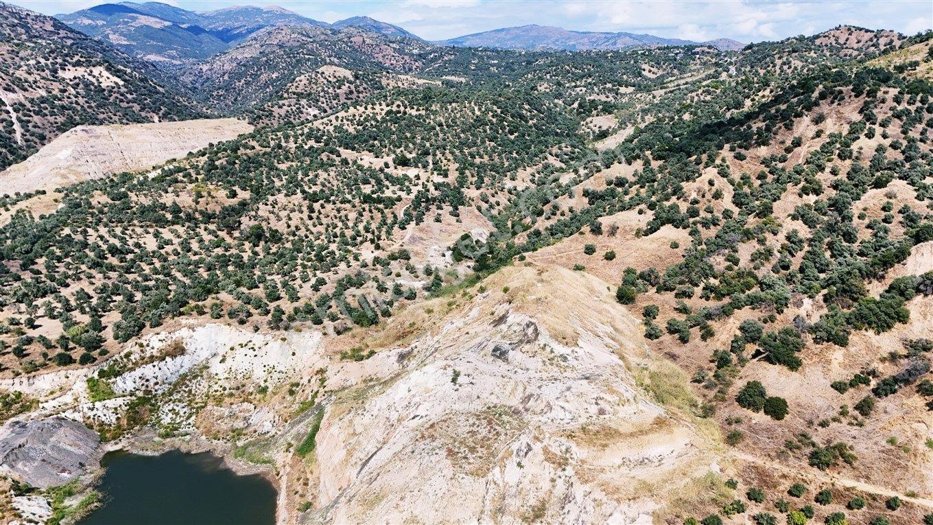 Nazilli Hasköy'De 10.950 M² Satılık Doğa Manzaralı Tarla — fotoğraf 20