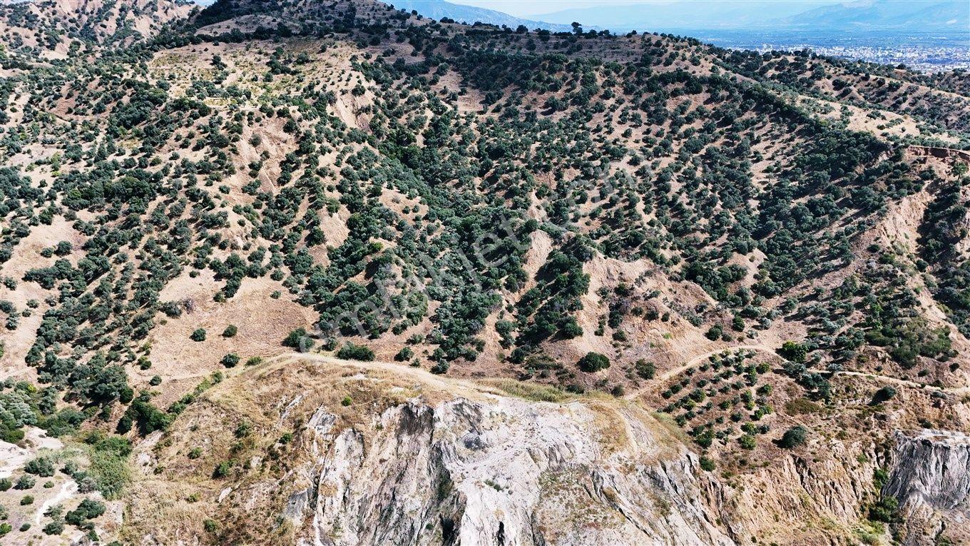 Nazilli Hasköy'De 10.950 M² Satılık Doğa Manzaralı Tarla — fotoğraf 22