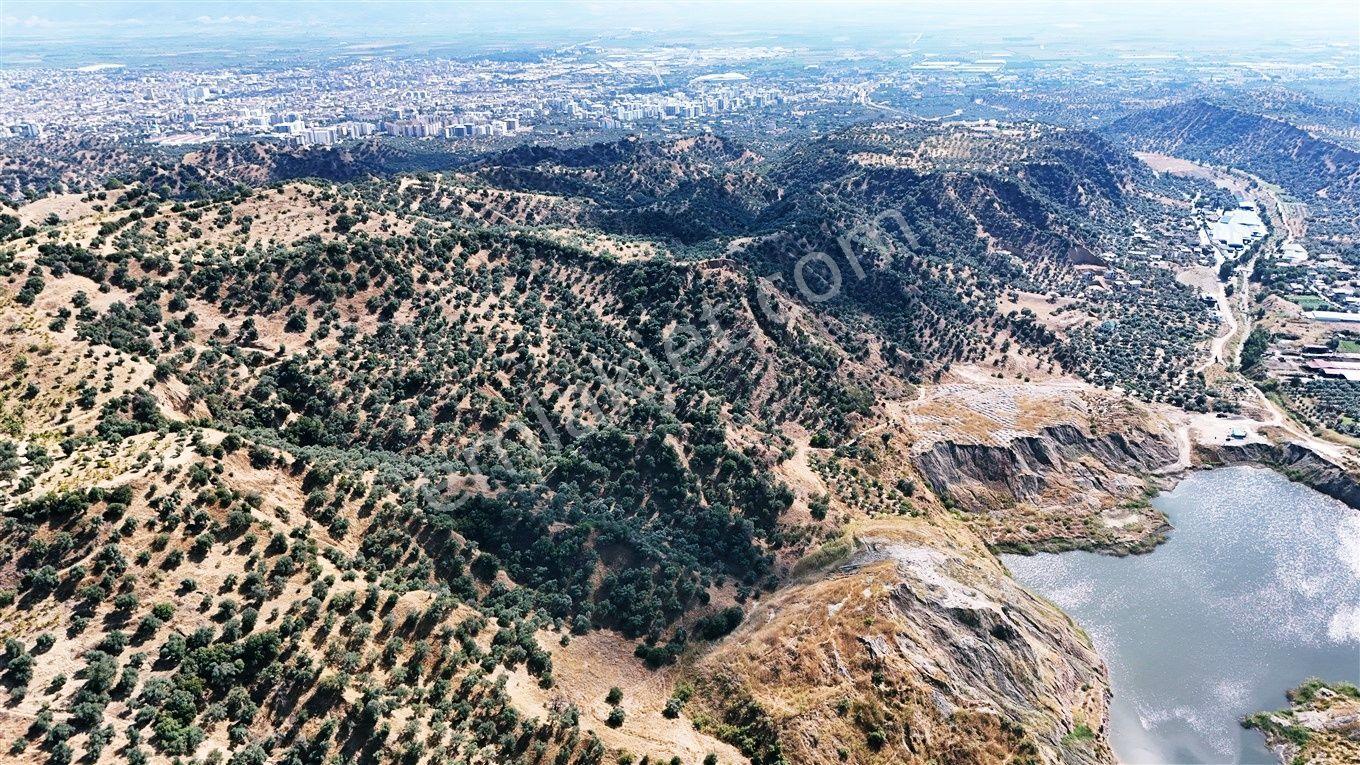 Nazilli Hasköy'De 10.950 M² Satılık Doğa Manzaralı Tarla — fotoğraf 23