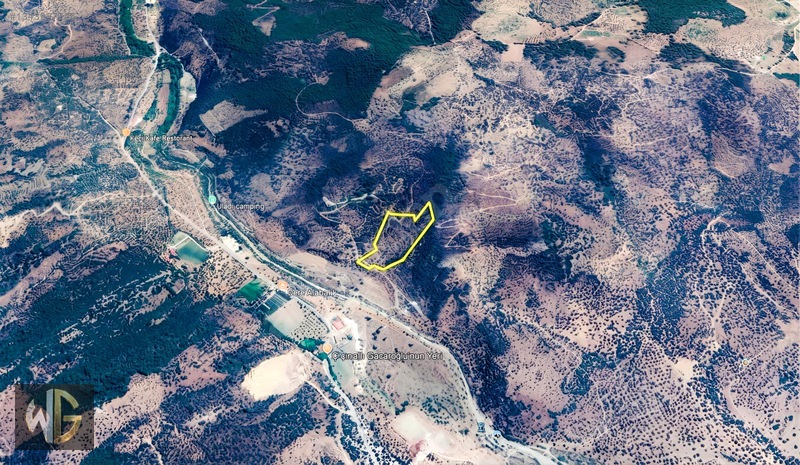 Bayındır Yakapınar'da 19.223 M² Zeytnlik 194 Ada 43 Parsel — fotoğraf 4