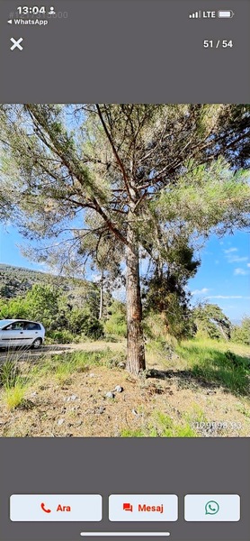 18500 Mkare Yatırımlık Su Yol Var Orman A Sıfır — fotoğraf 8