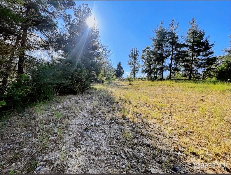 18500 Mkare Yatırımlık Su Yol Var Orman A Sıfır — fotoğraf 18